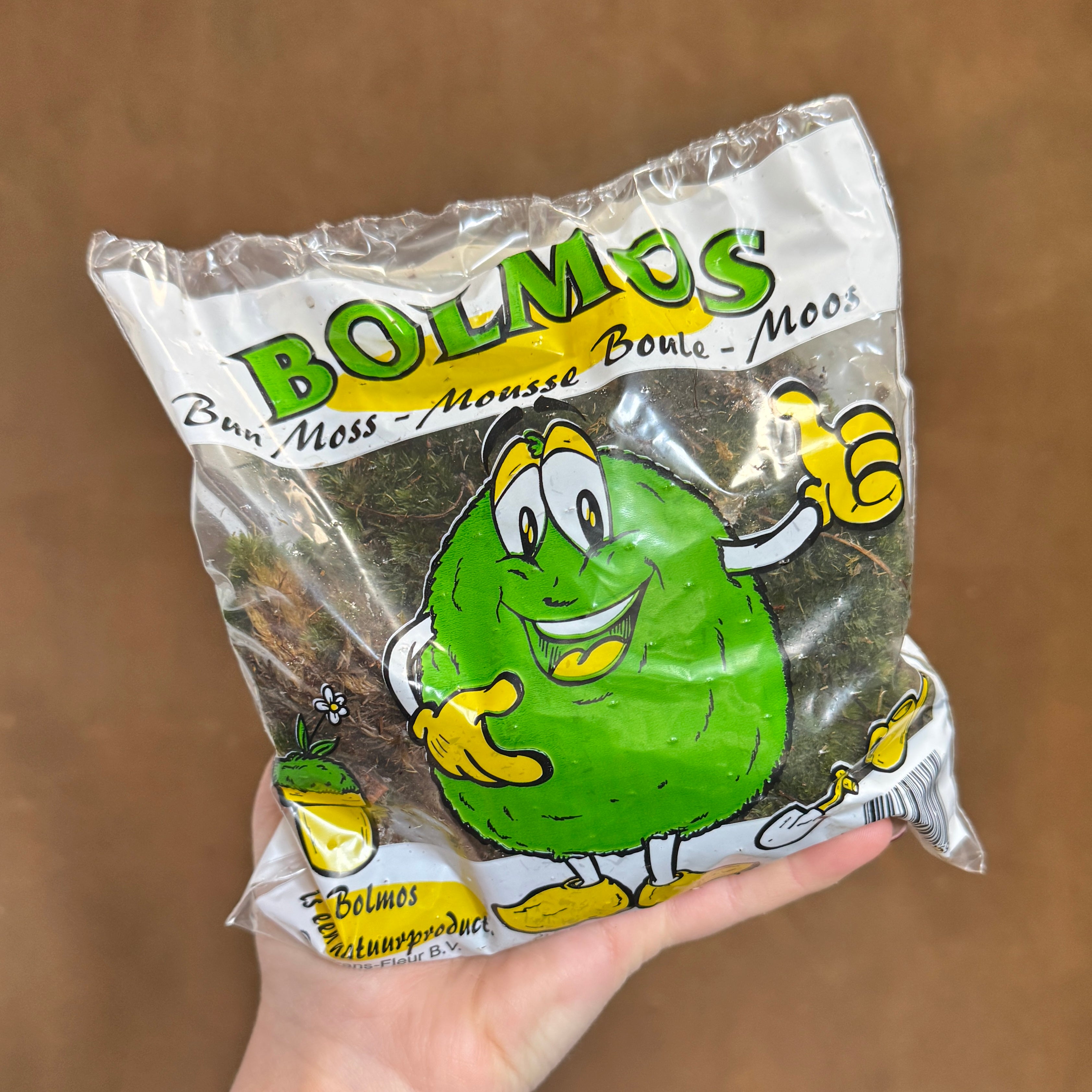 Cushion Moss (Pillow Moss) | Natural Terrarium & Plant Top Dressing