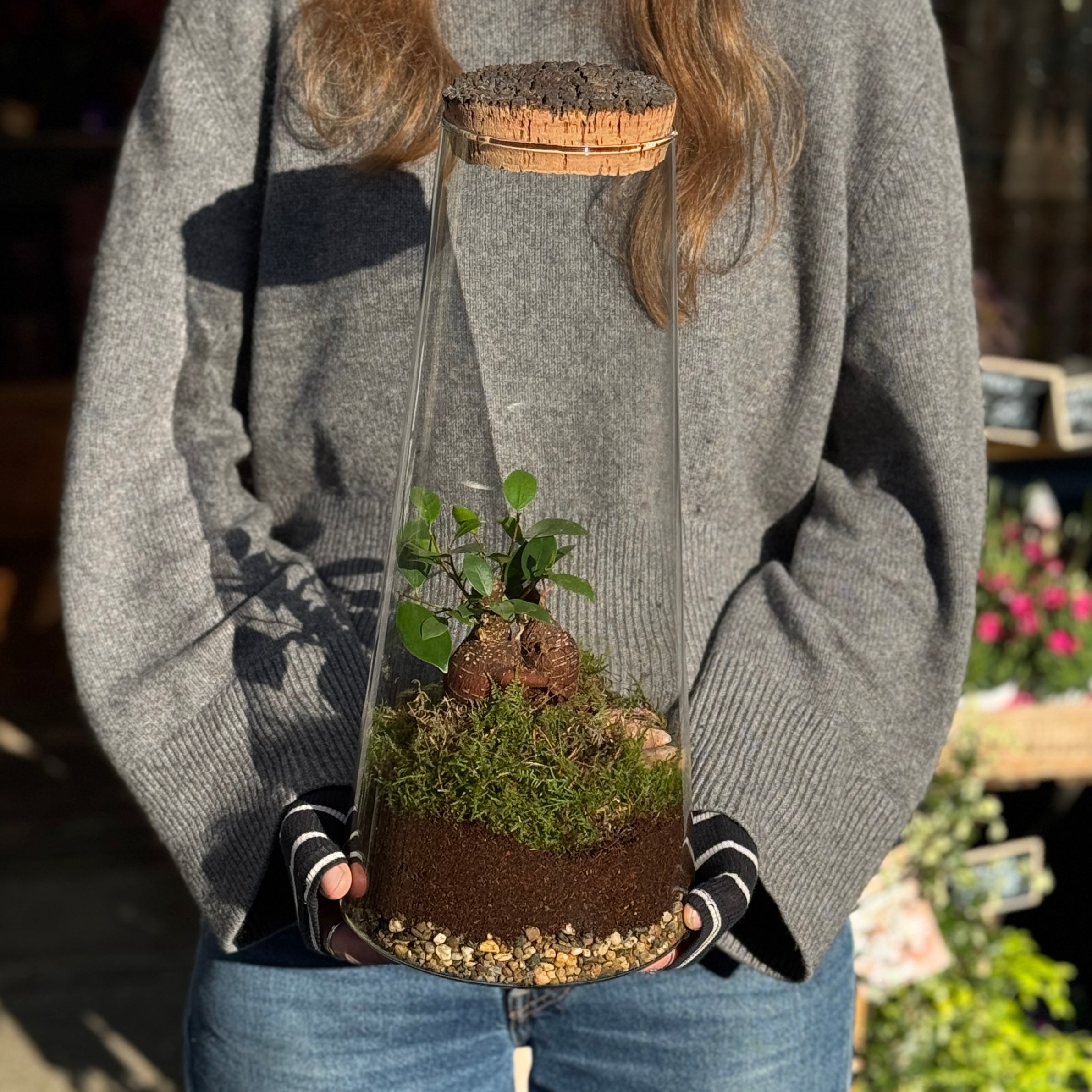 Large Bonsai Terrarium - Aged Cork