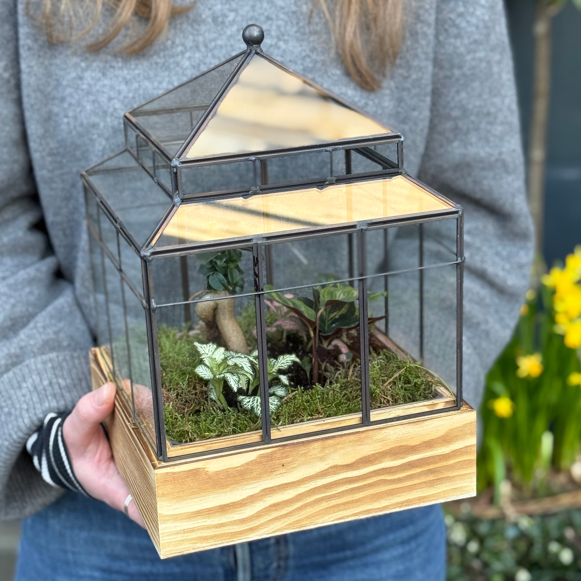 Wardian Case Terrarium