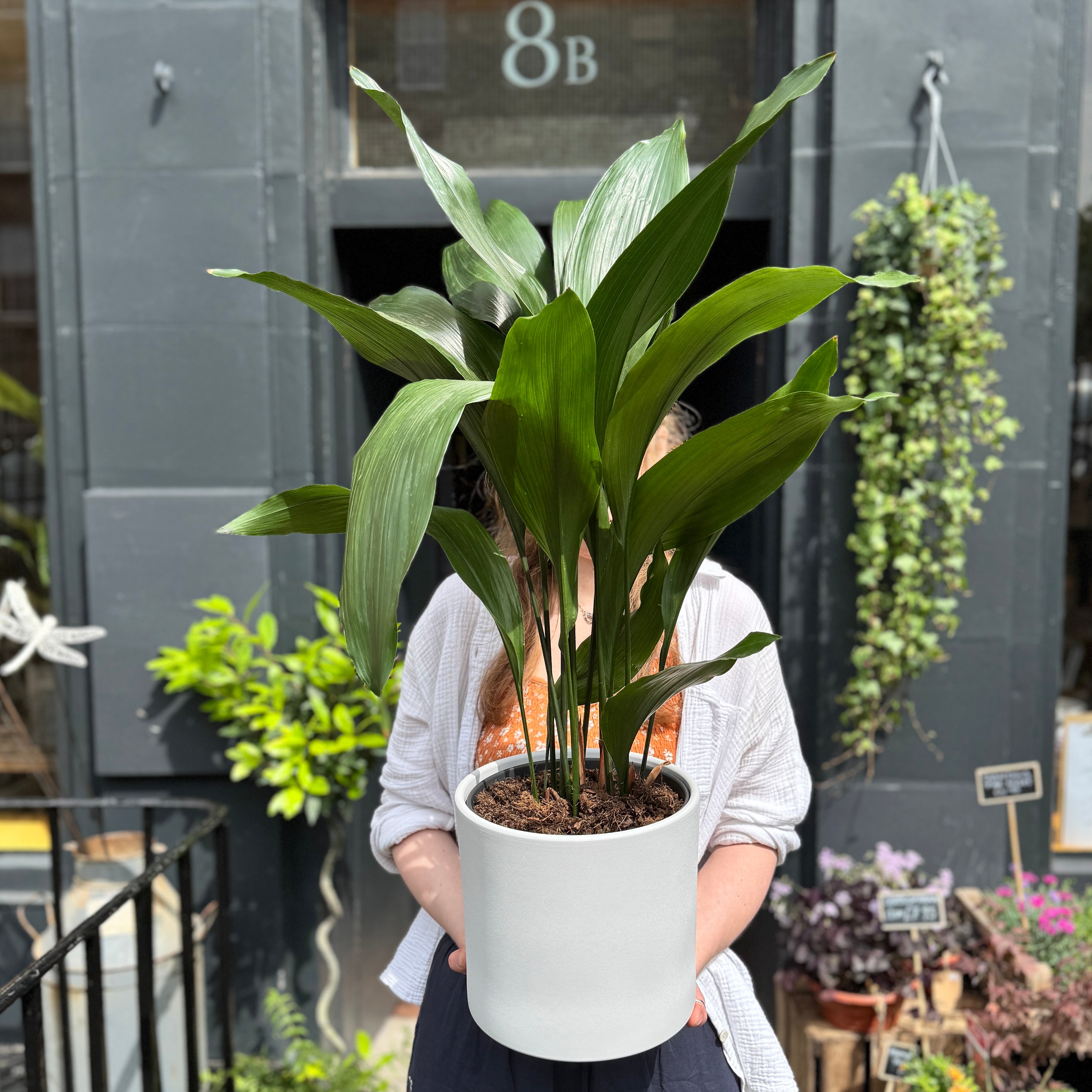 Matt Pot - White | 23cm