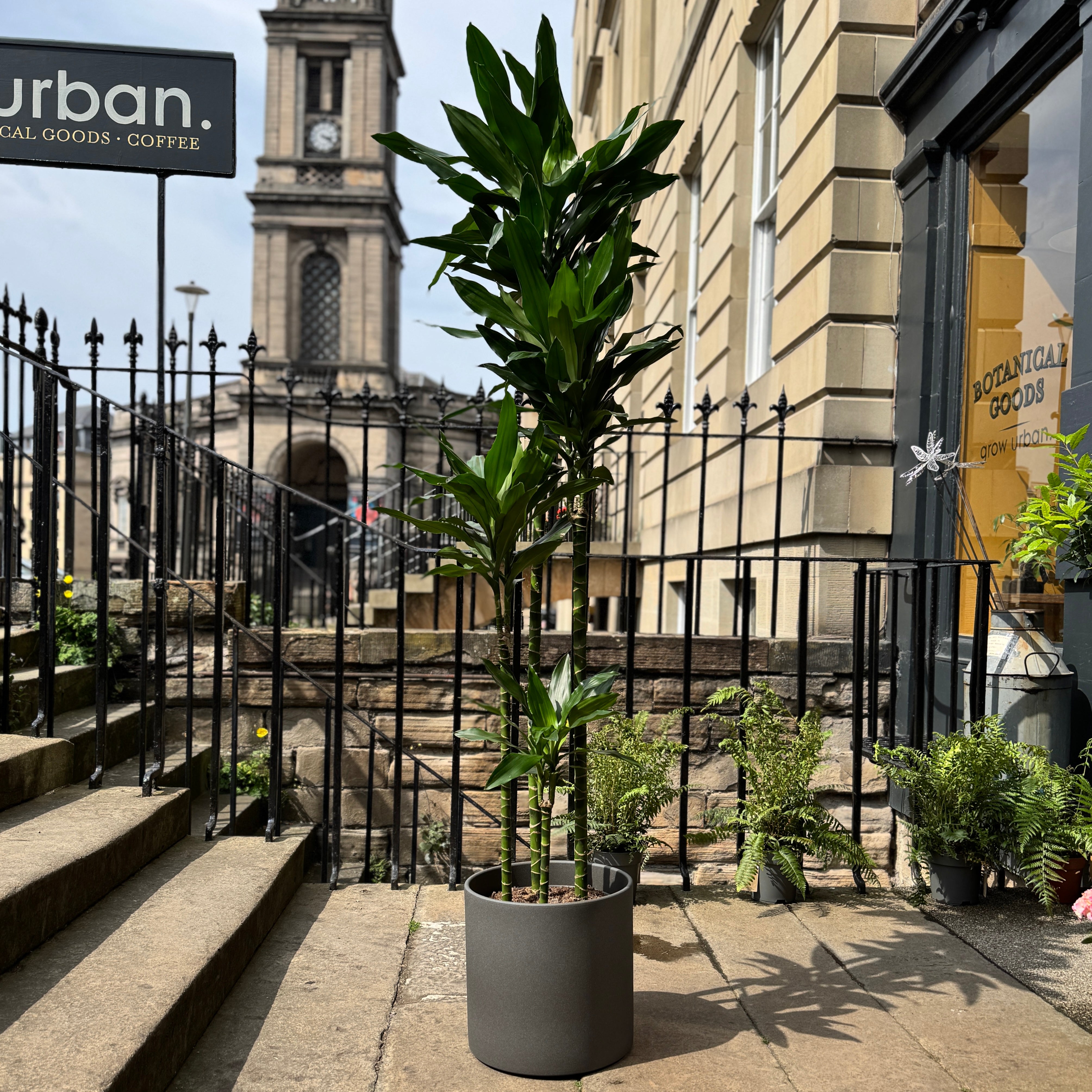 Matt Pot - Dark Grey | 33cm