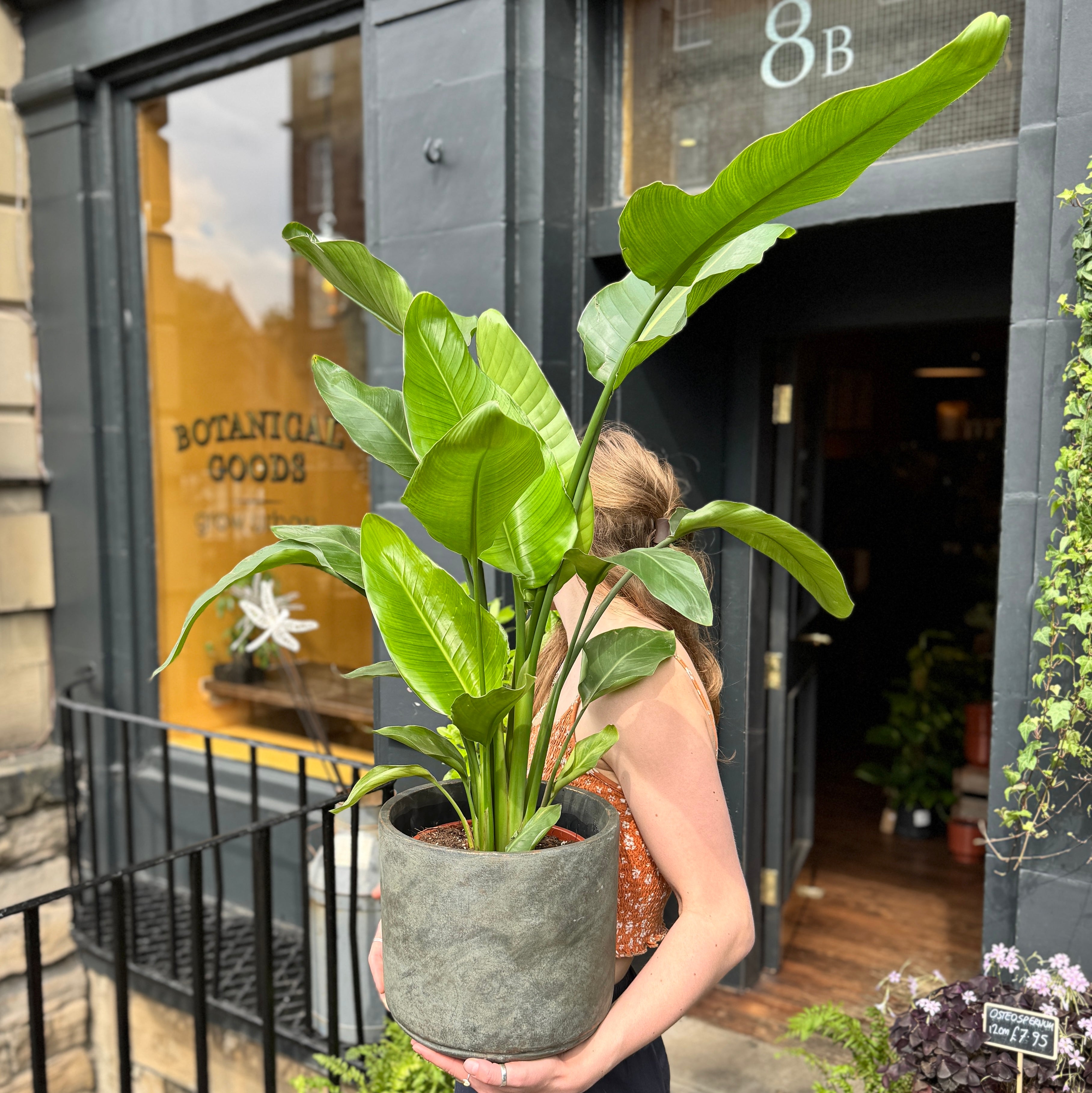 Cement Pot - Dark | 26cm