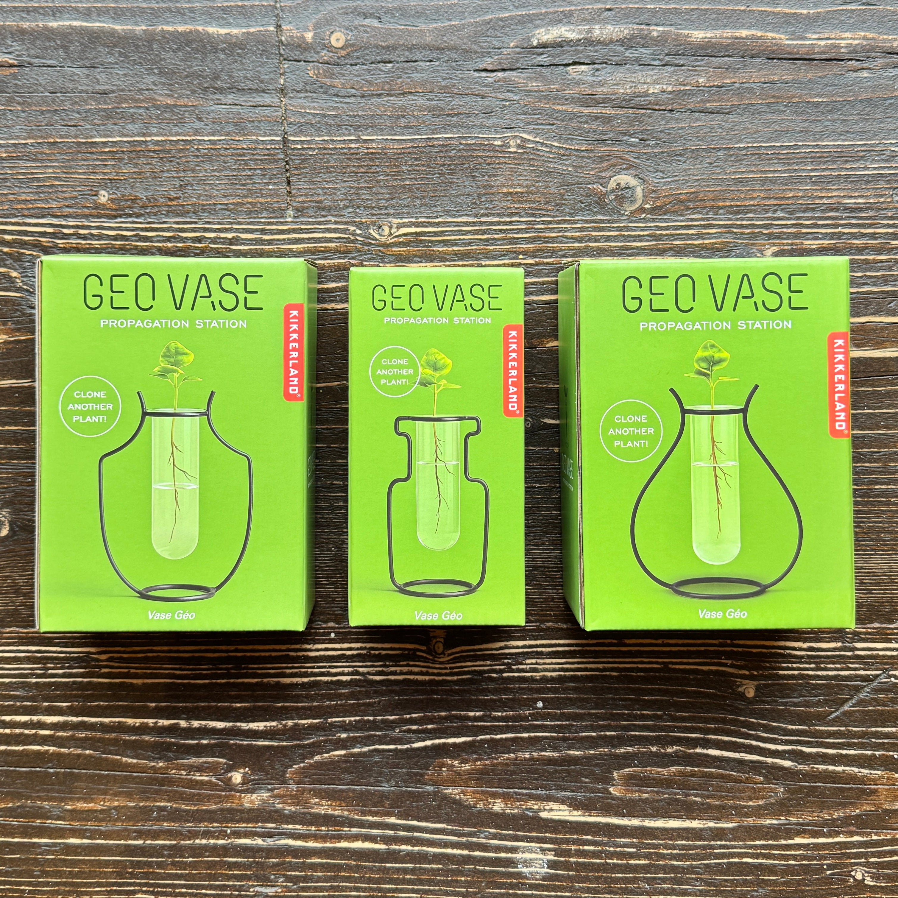 Geo Vase Propagation Station