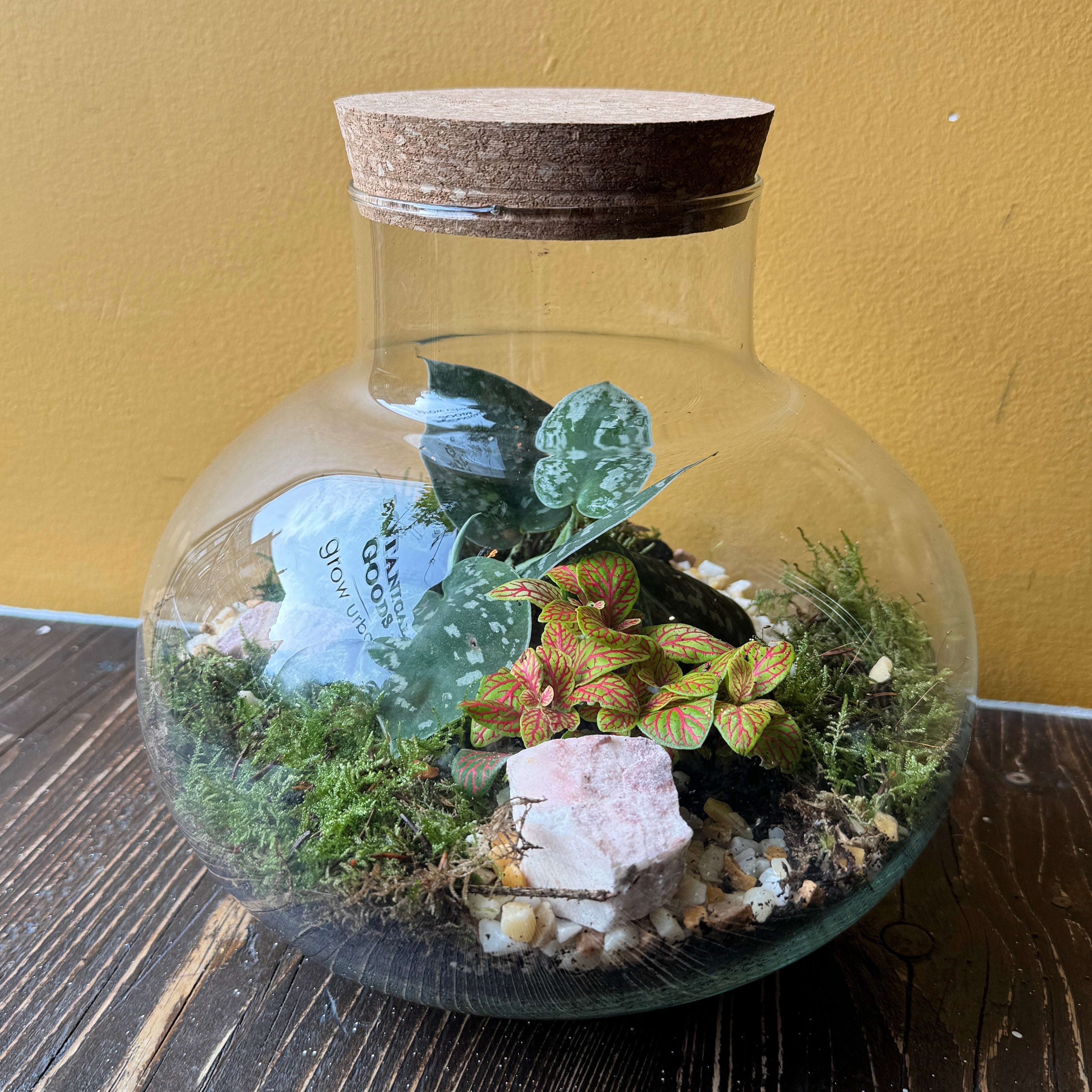 Oblate Globe Terrarium