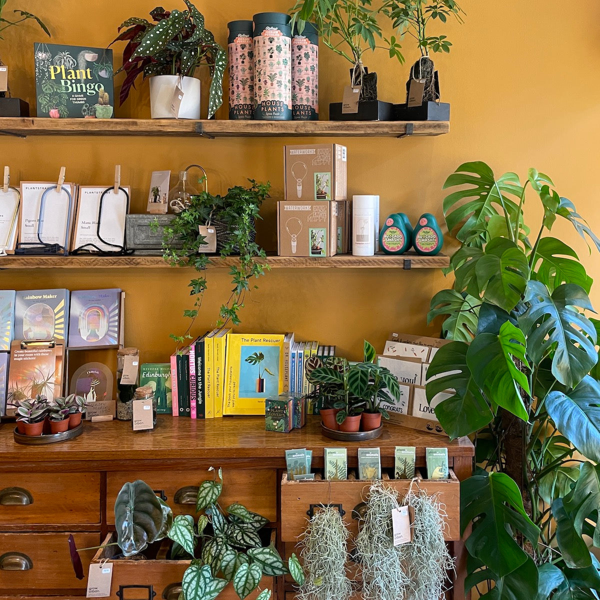 Botanical gifts on display at grow urban.