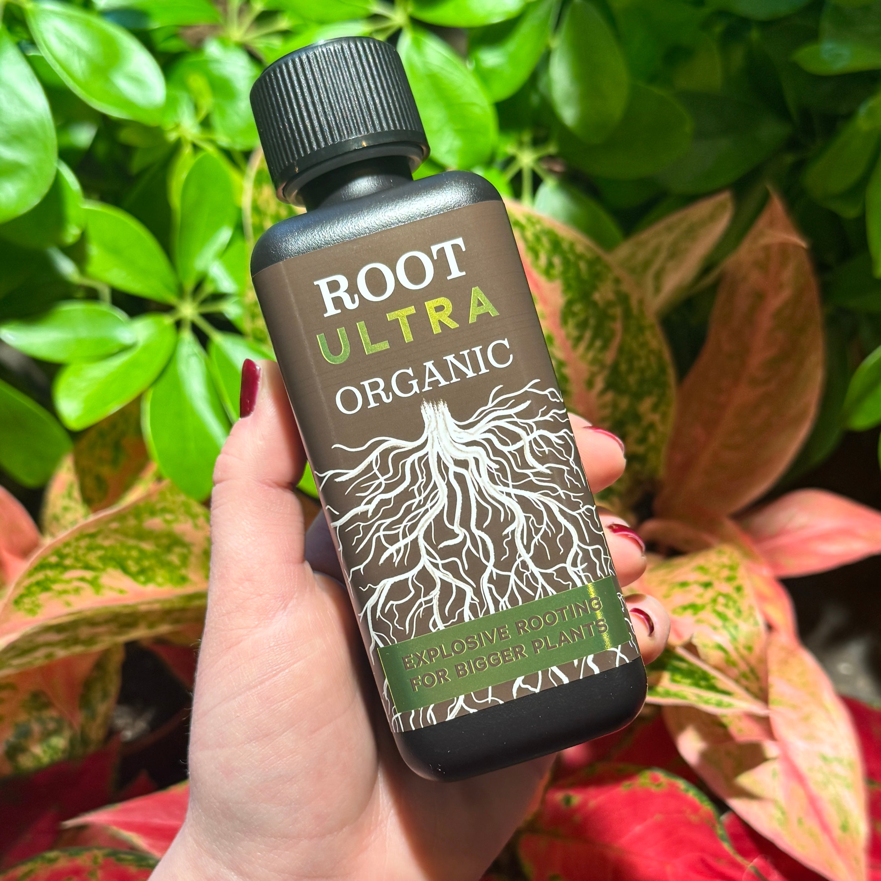 Root Ultra – Natural Root Stimulator 300 ml Concentrate