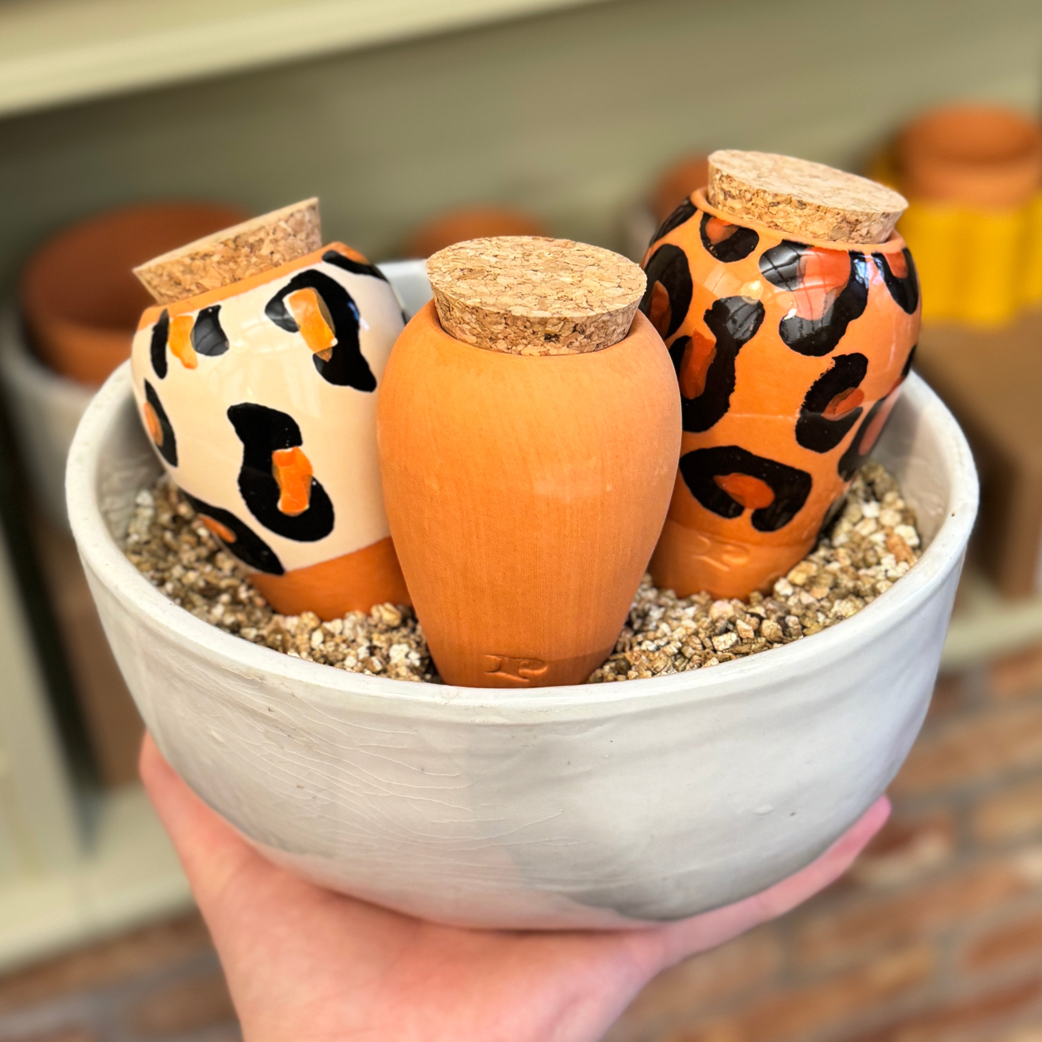 Pepin Trio Leopard Mini Ollas – Terracotta & Leopard Gift Set