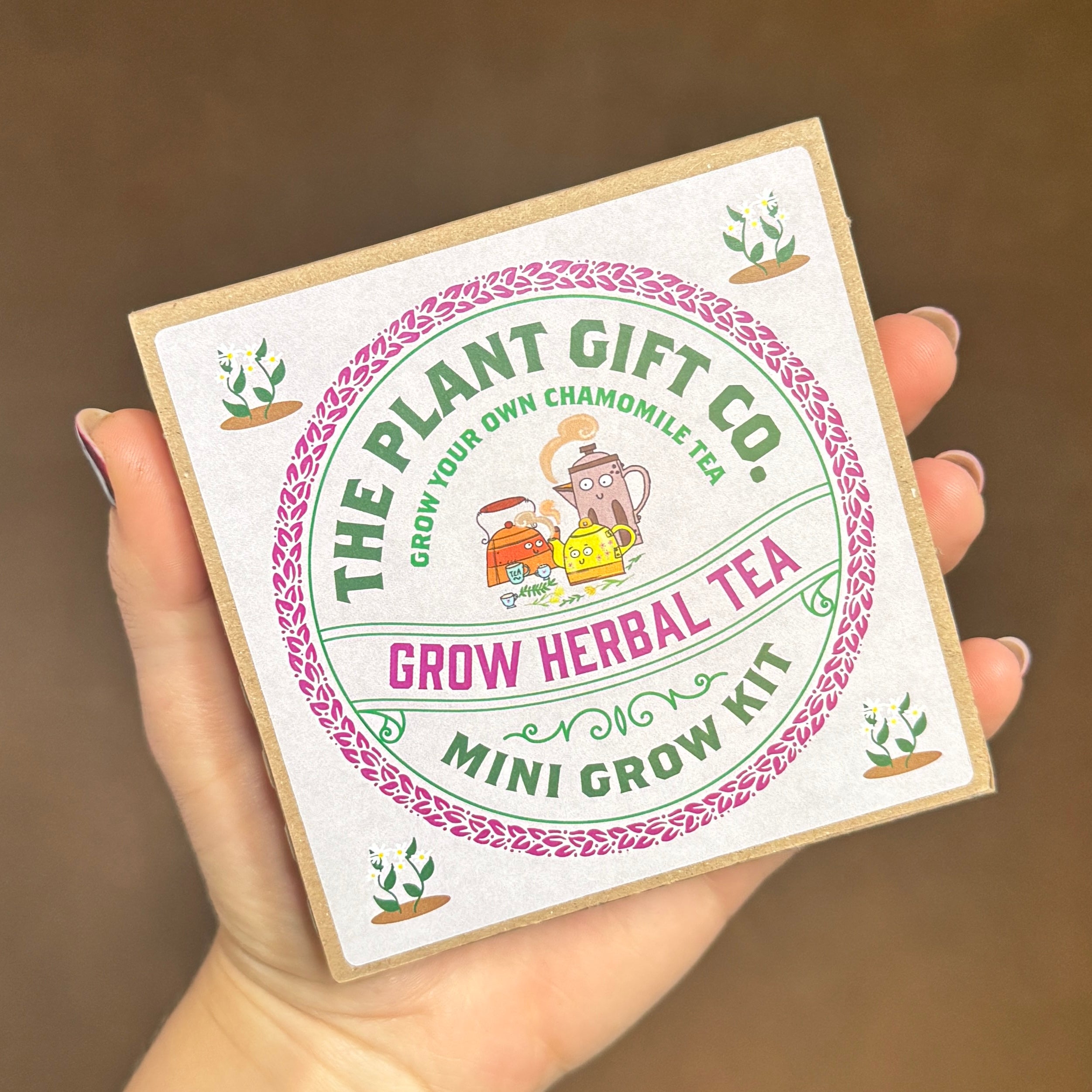 Mini Grow Kit – Easy Grow-From-Seed Gift | The Plant Gift Co.