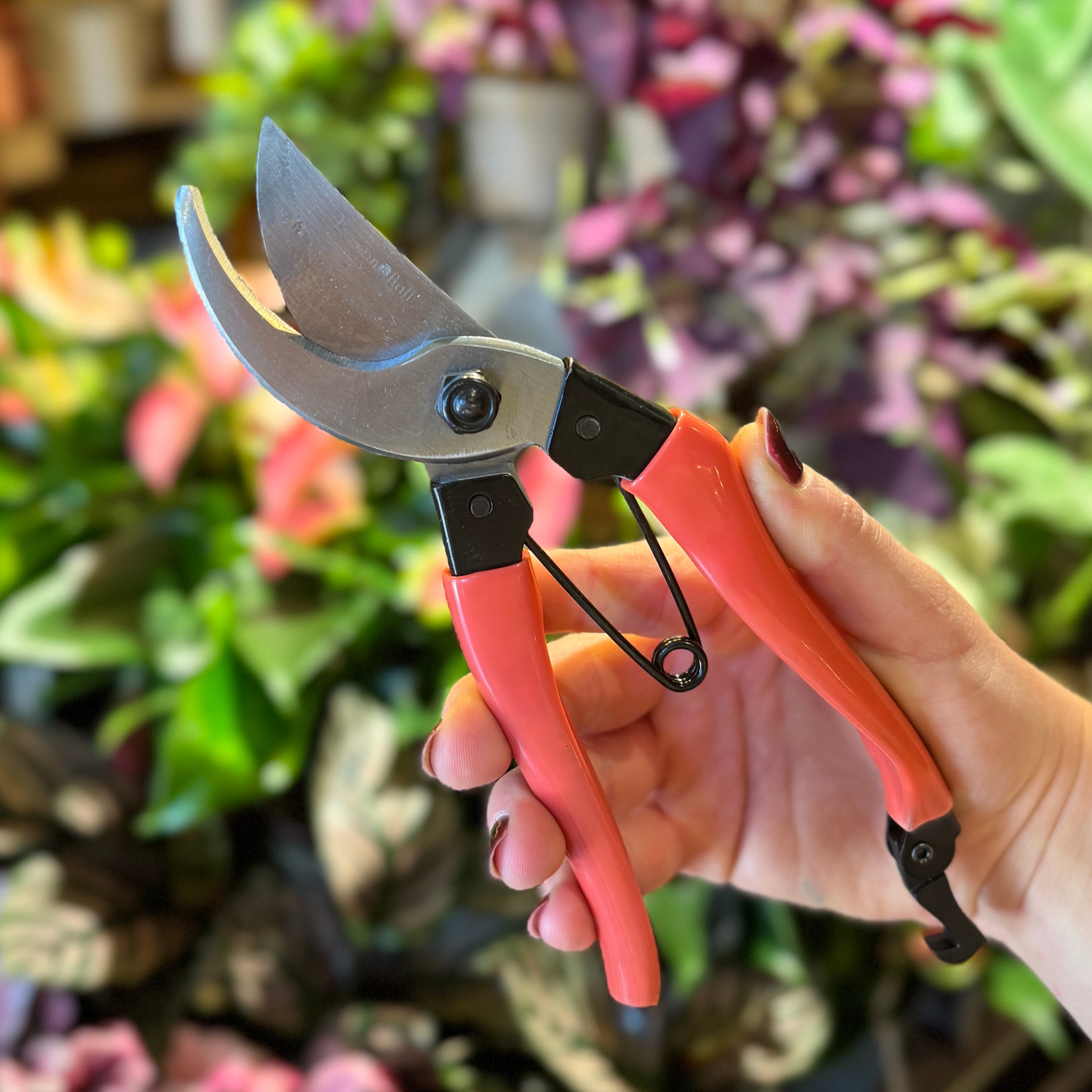Hand holding a pair of pink-handled pruning shears with a blurred plant background