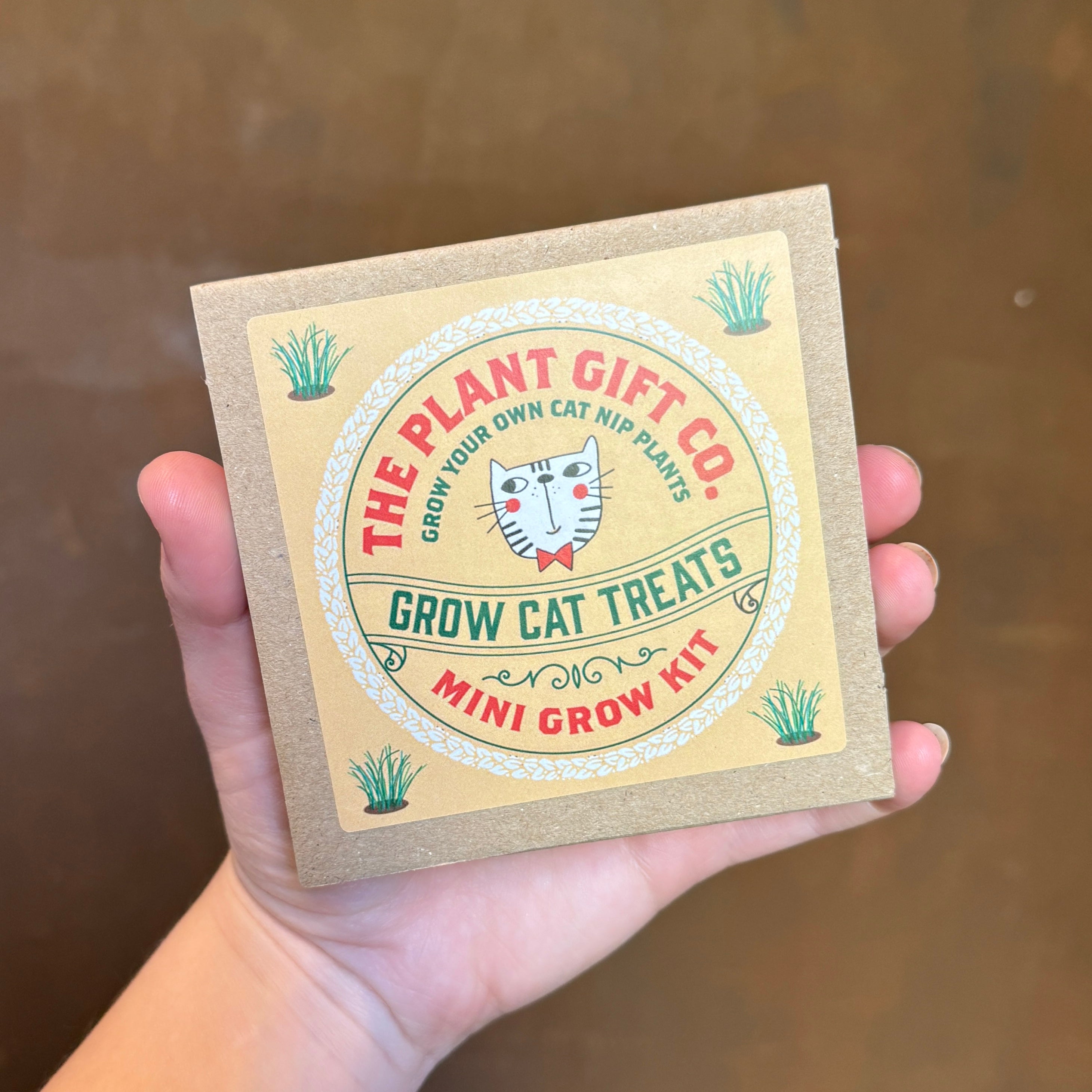 Mini Grow Kit – Easy Grow-From-Seed Gift | The Plant Gift Co.