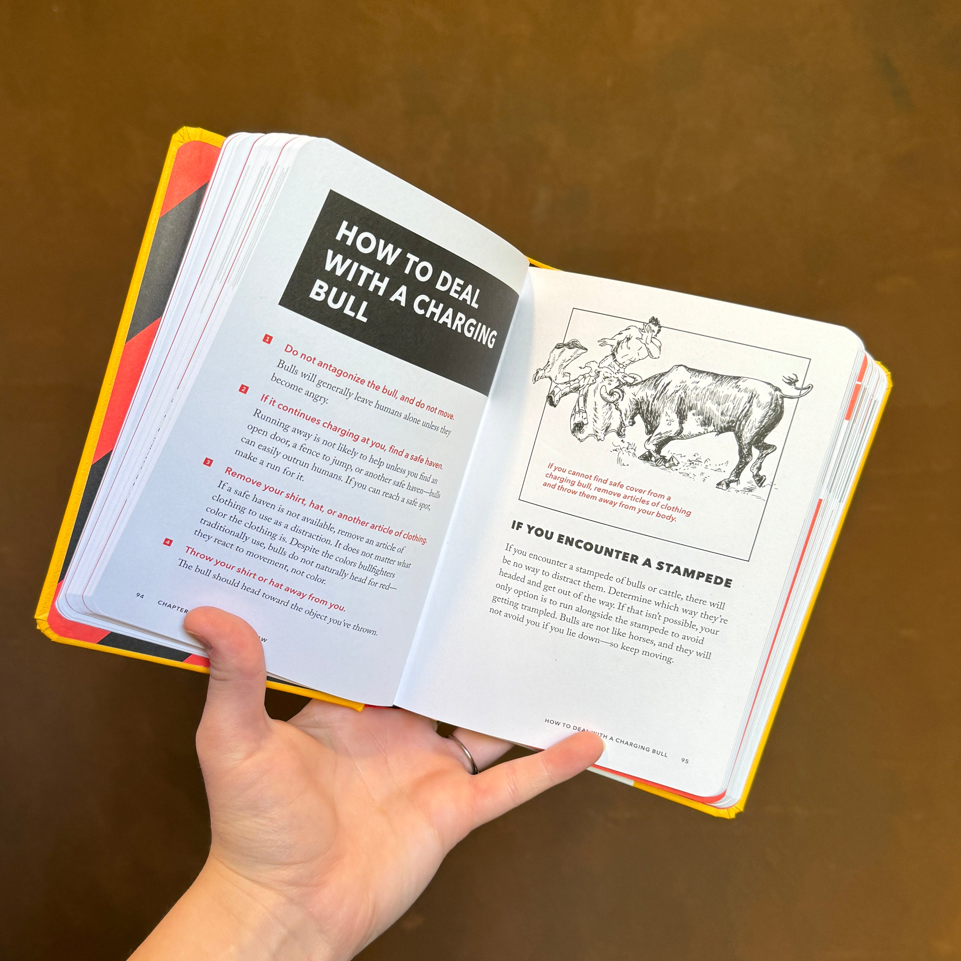 The Worst Case Scenario Survival Handbook