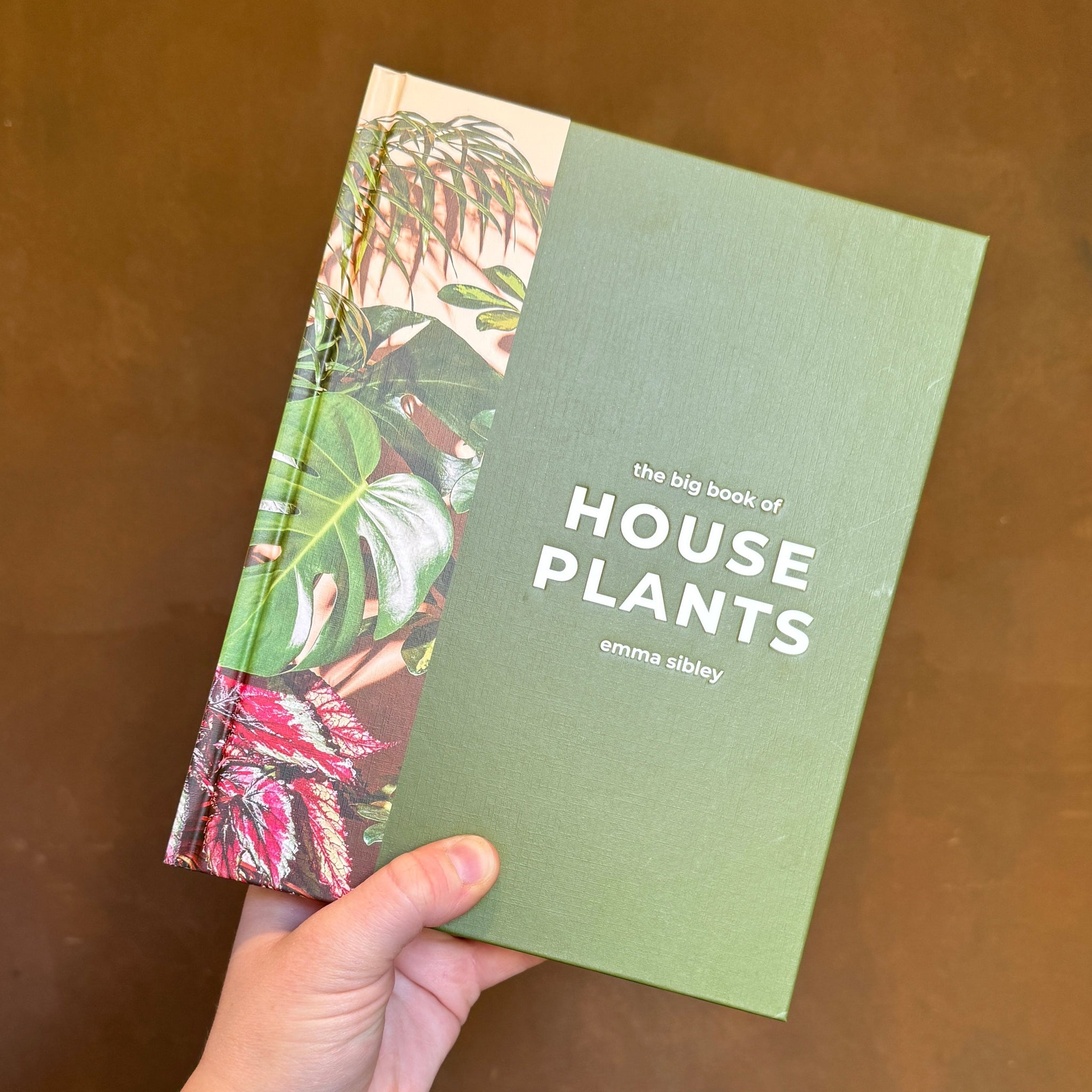 Big Book of House Plants
