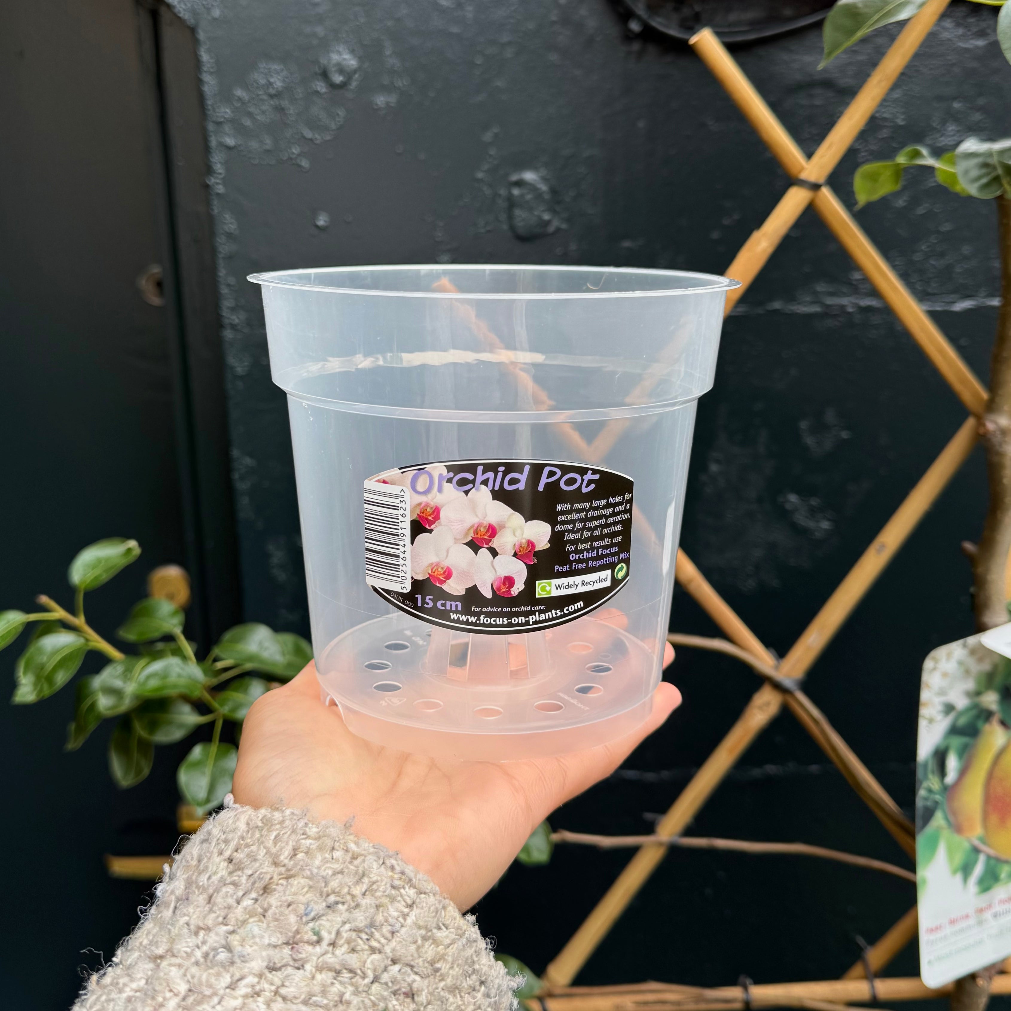 Orchid Pots – Translucent Pots for Phalaenopsis & Other Orchids