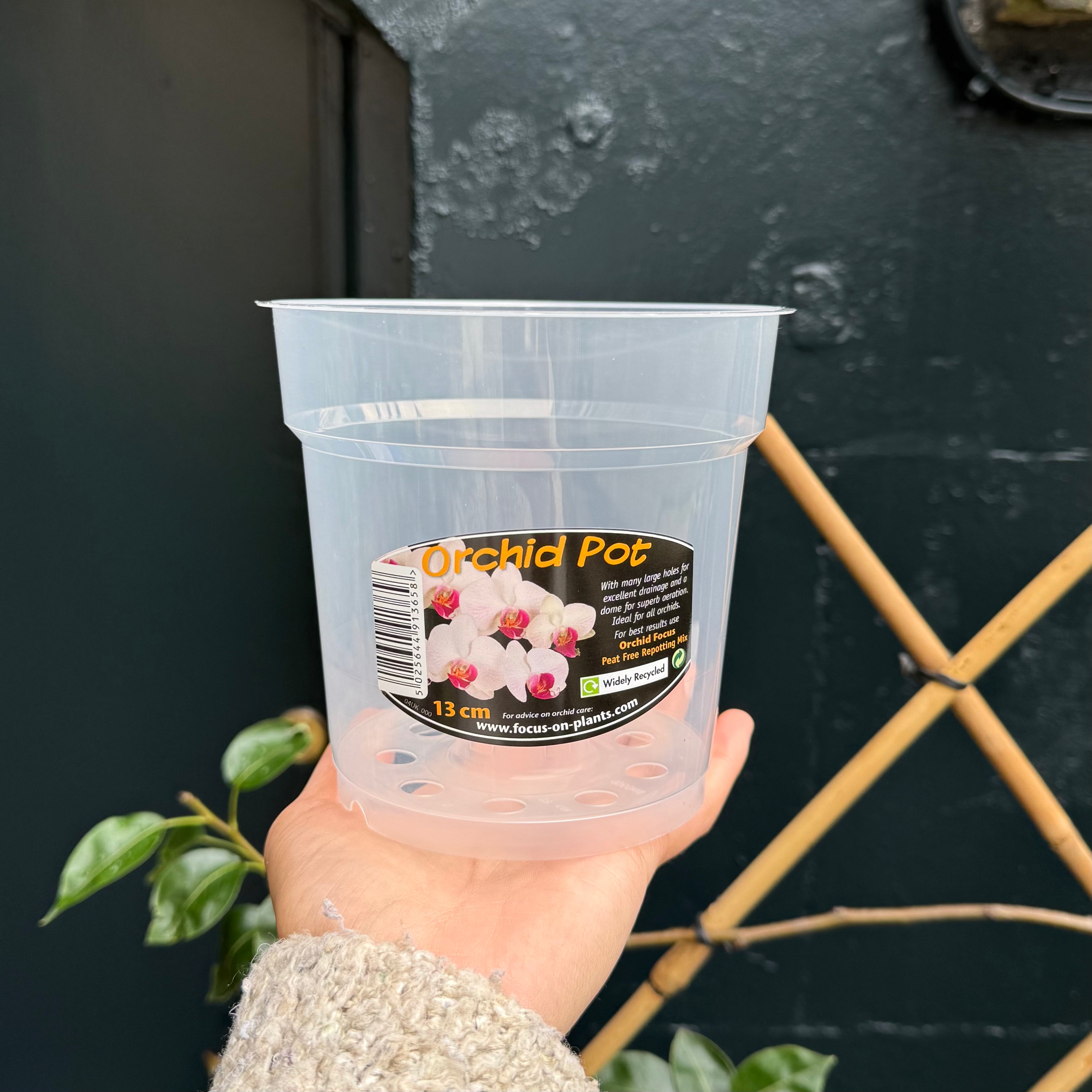 Orchid Pots – Translucent Pots for Phalaenopsis & Other Orchids