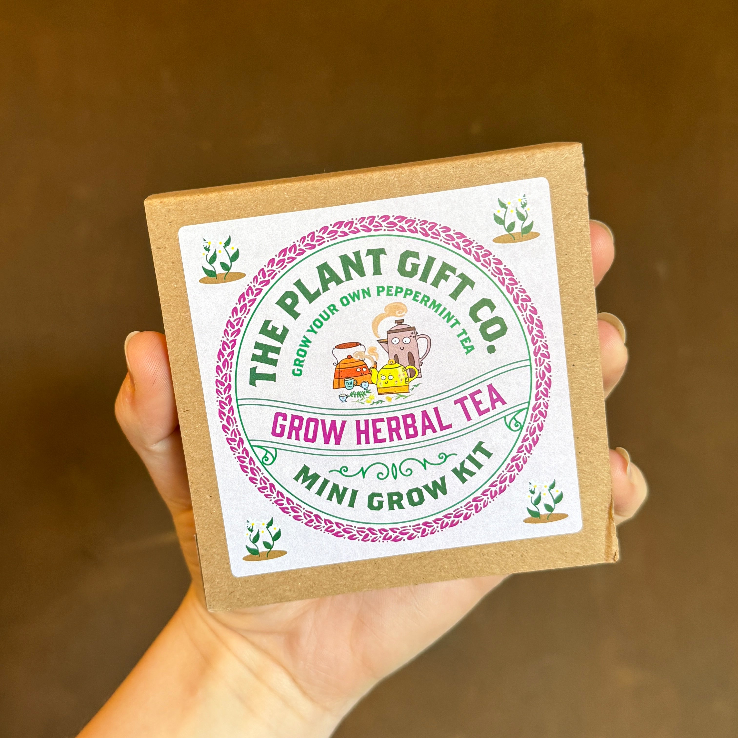 Mini Grow Kit – Easy Grow-From-Seed Gift | The Plant Gift Co.