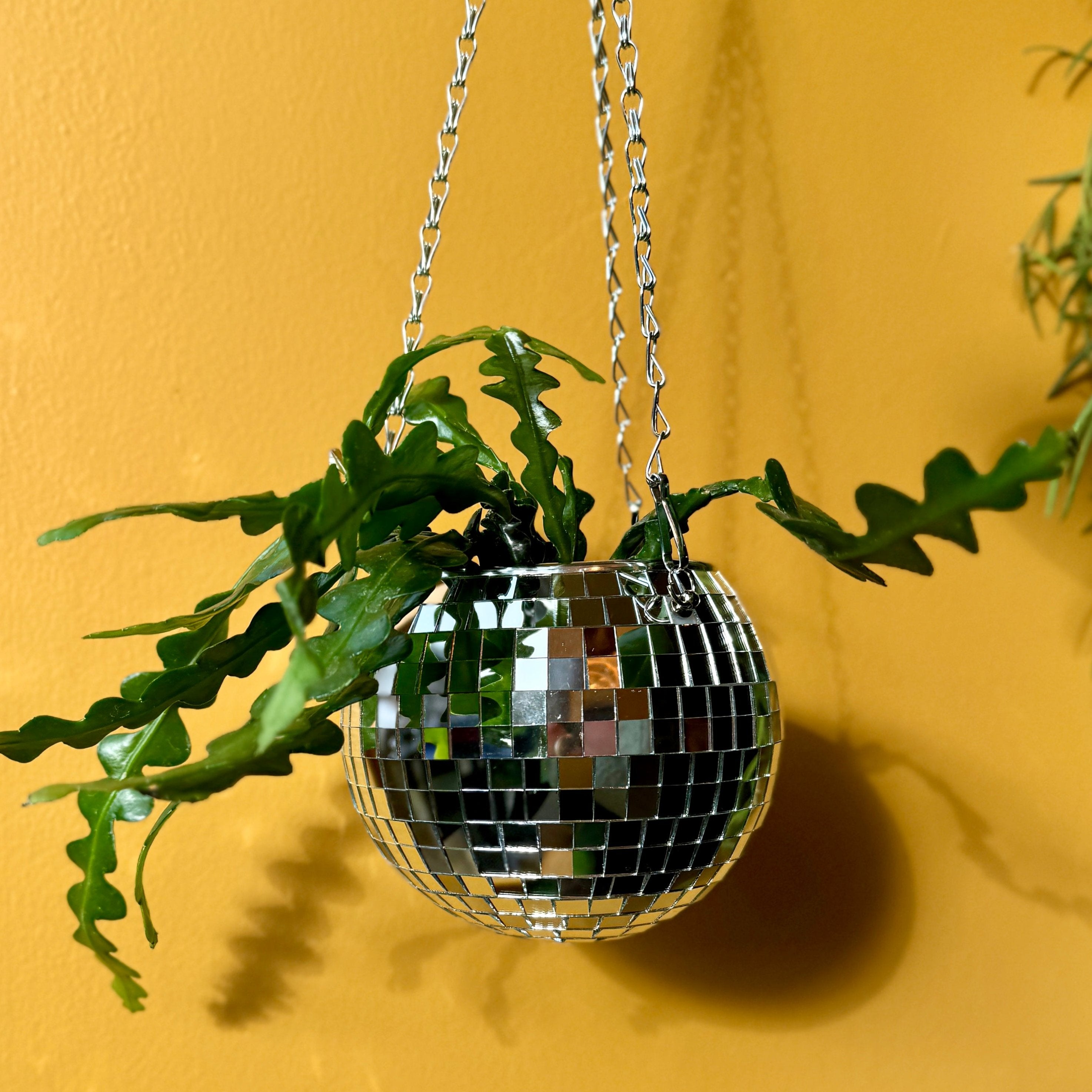 Disco Ball Hanging Planter (6 inch)