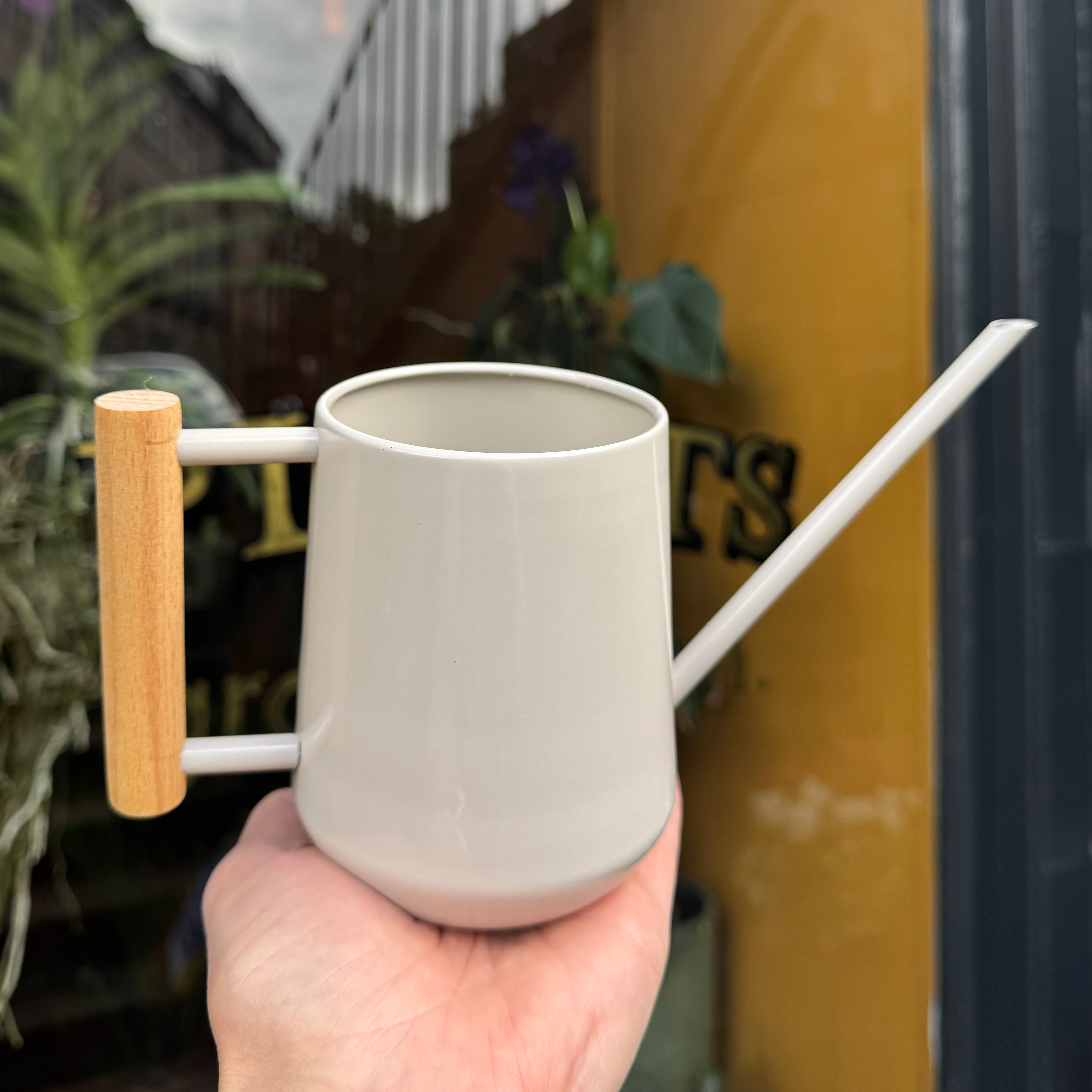 Indoor Watering Can - Mushroom