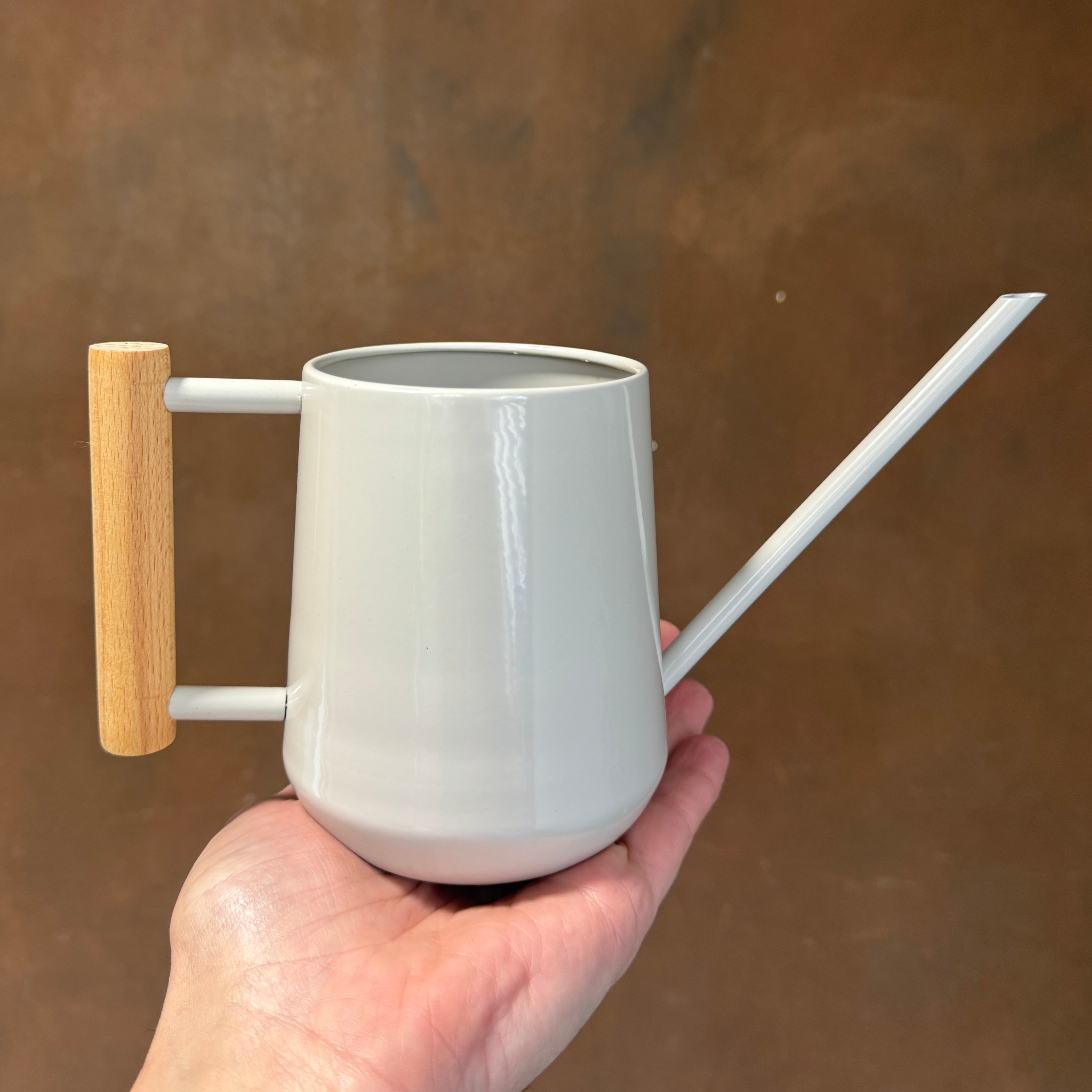 Indoor Watering Can - Mushroom
