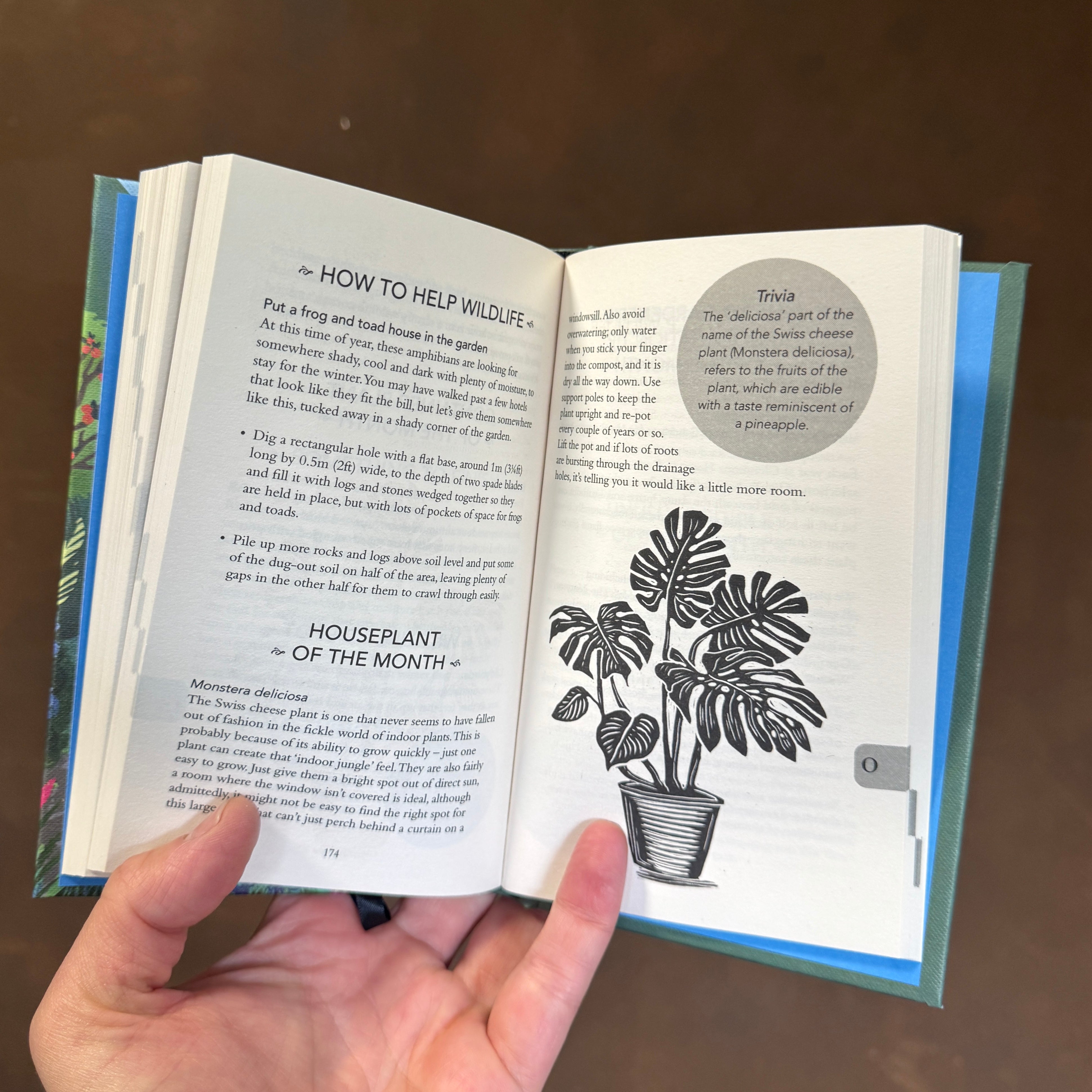 Gardener's Almanac 2026 | The National Trust