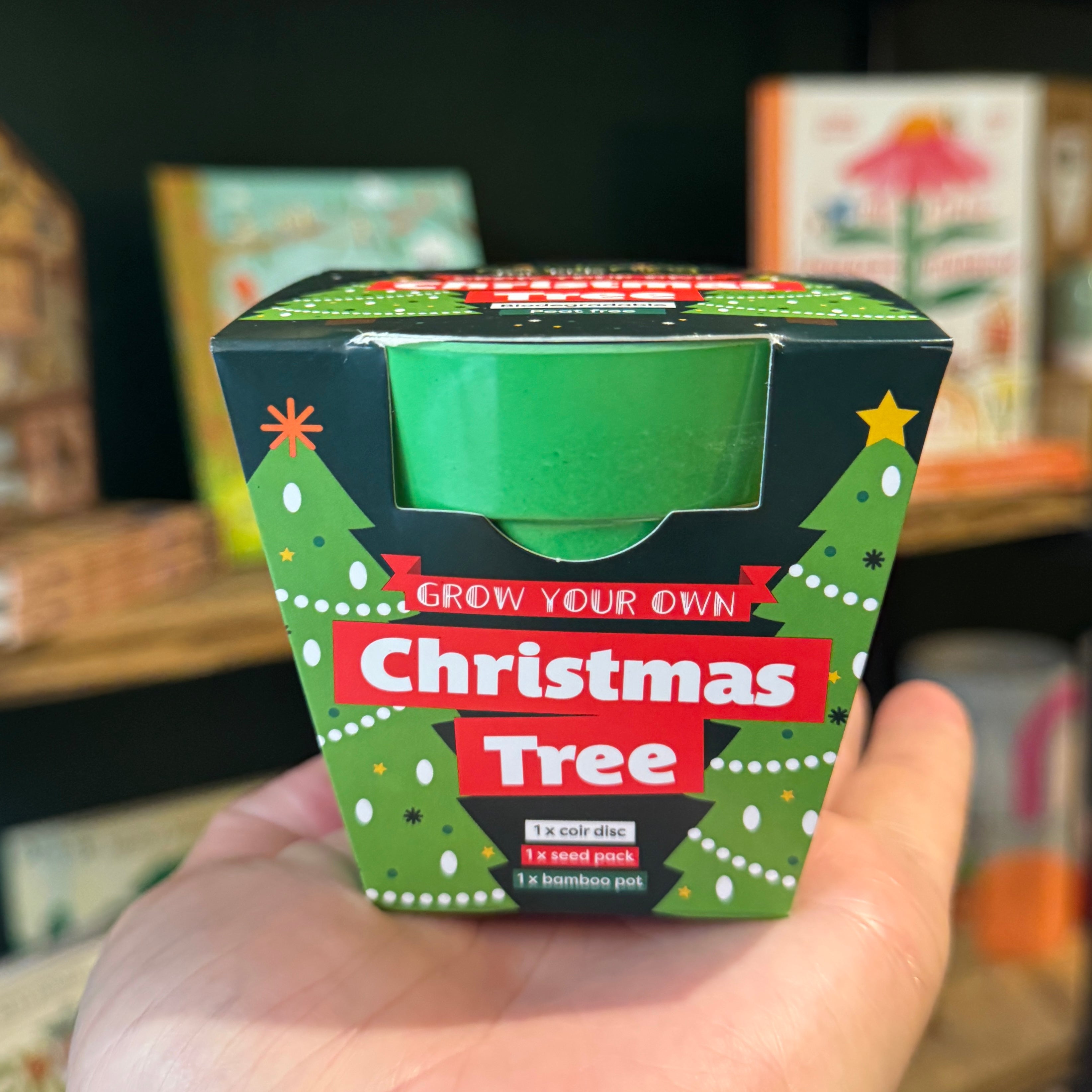 Christmas Tree Growing Kit with Pot