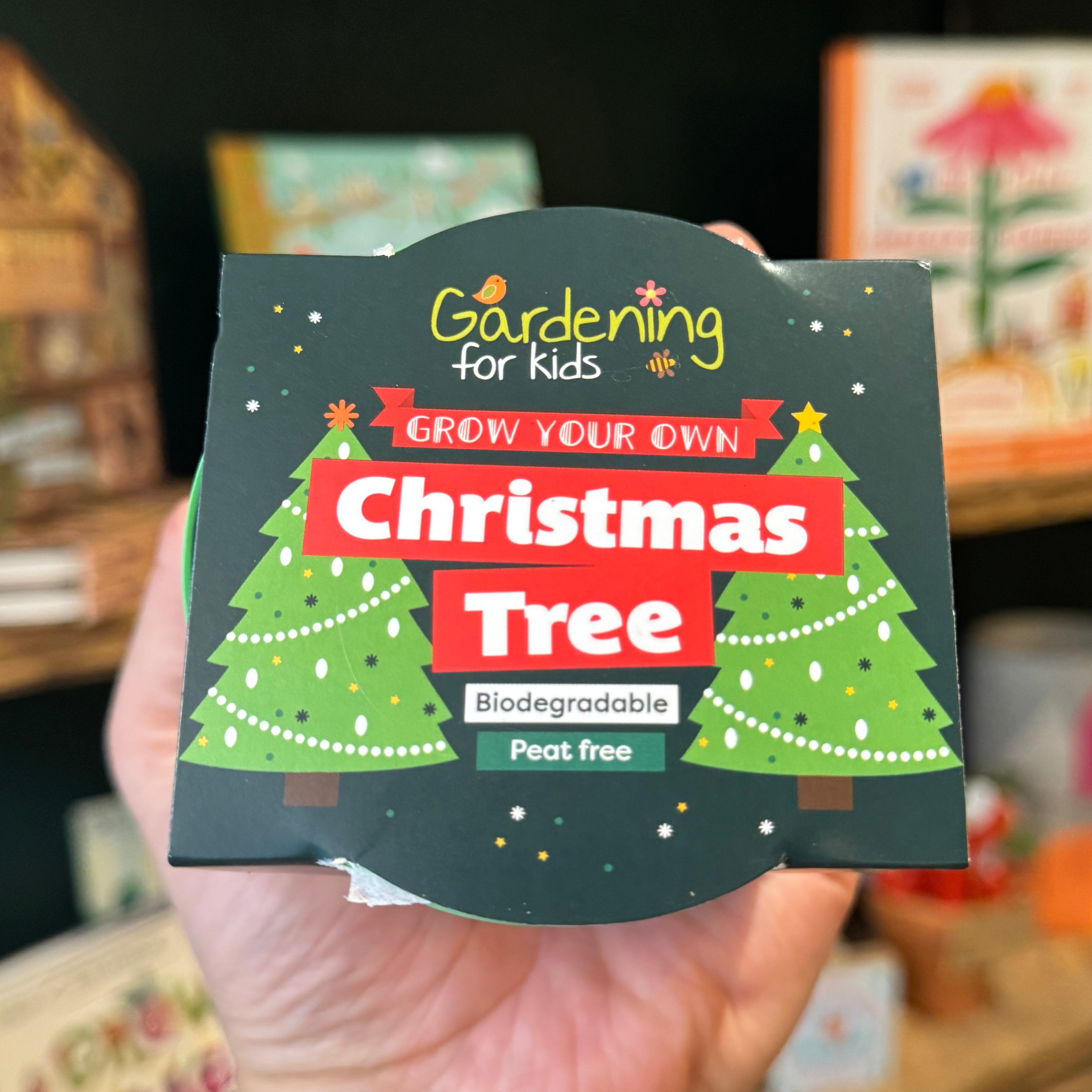Christmas Tree Growing Kit with Pot