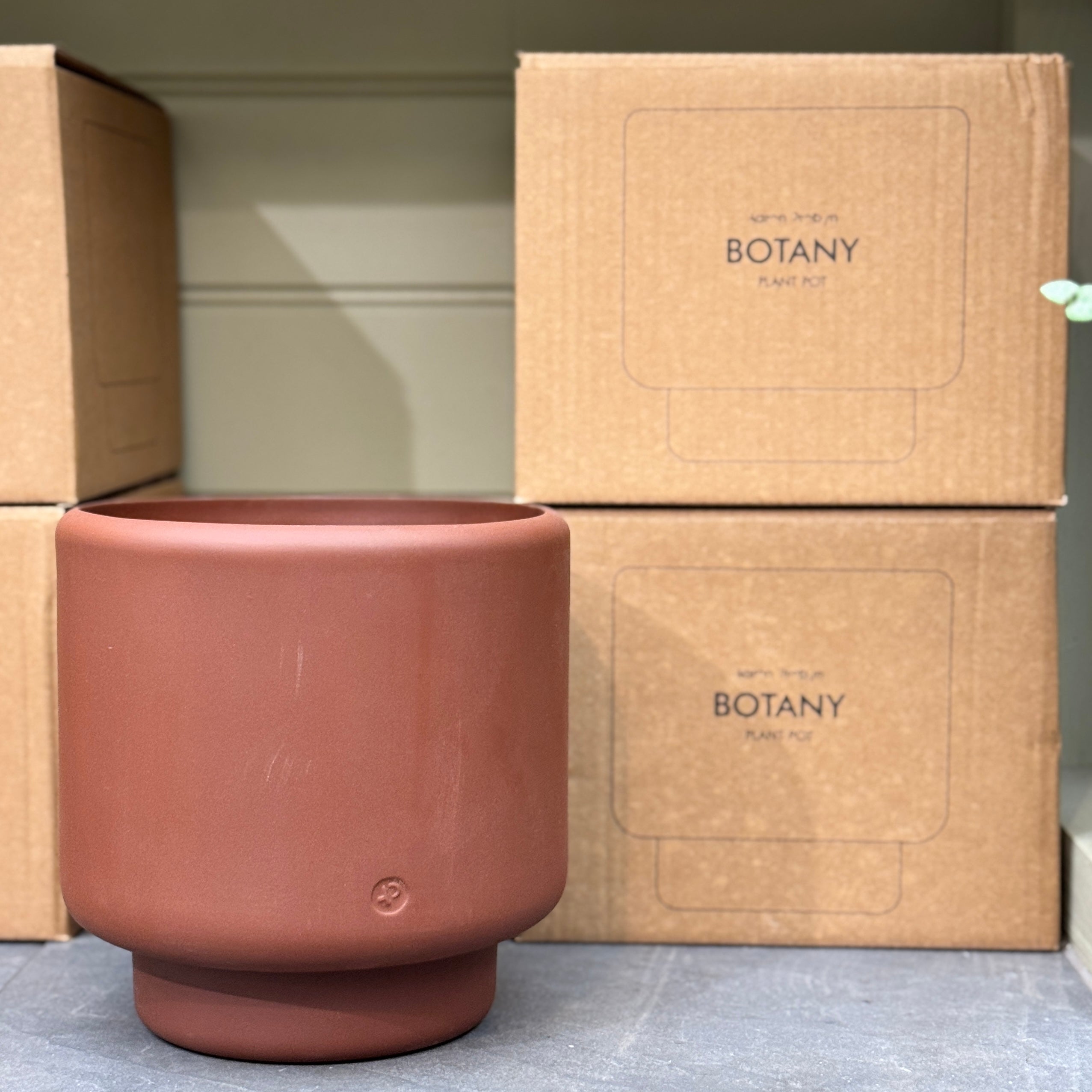 Aaron Probyn Botany Pot - Dark Terracotta