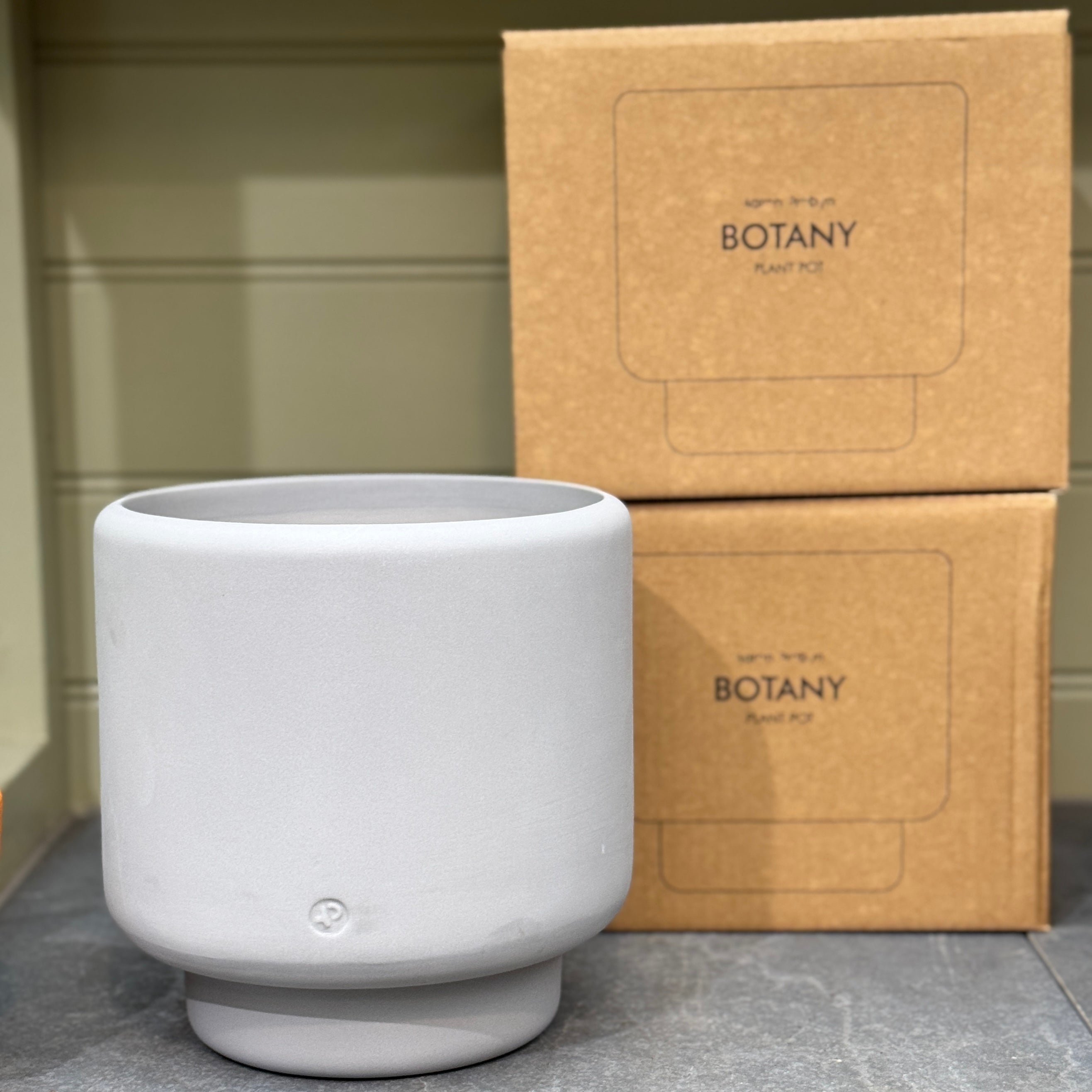 Aaron Probyn Botany Pot - Concrete Grey