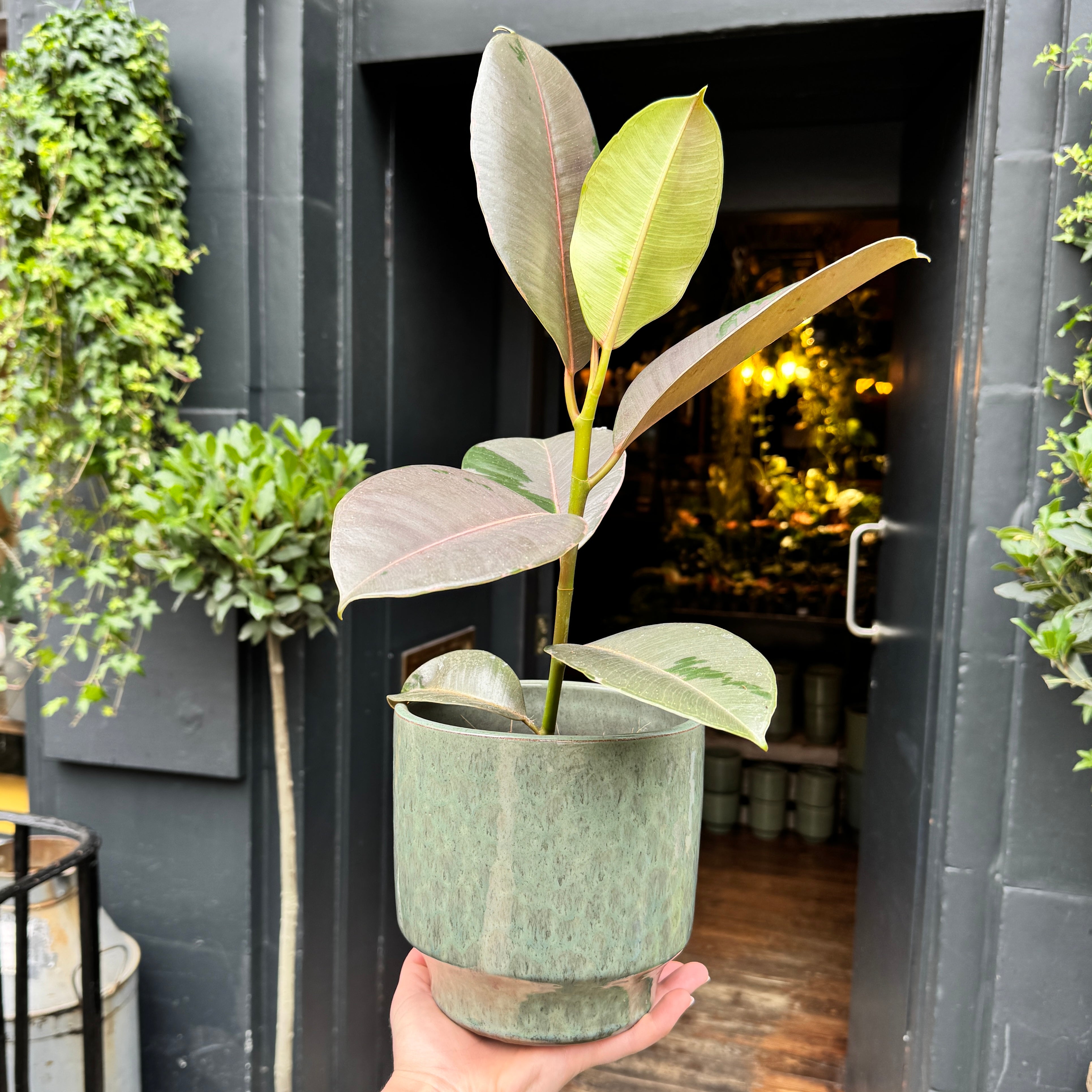 Sophie Pot - Sage Green | 15cm