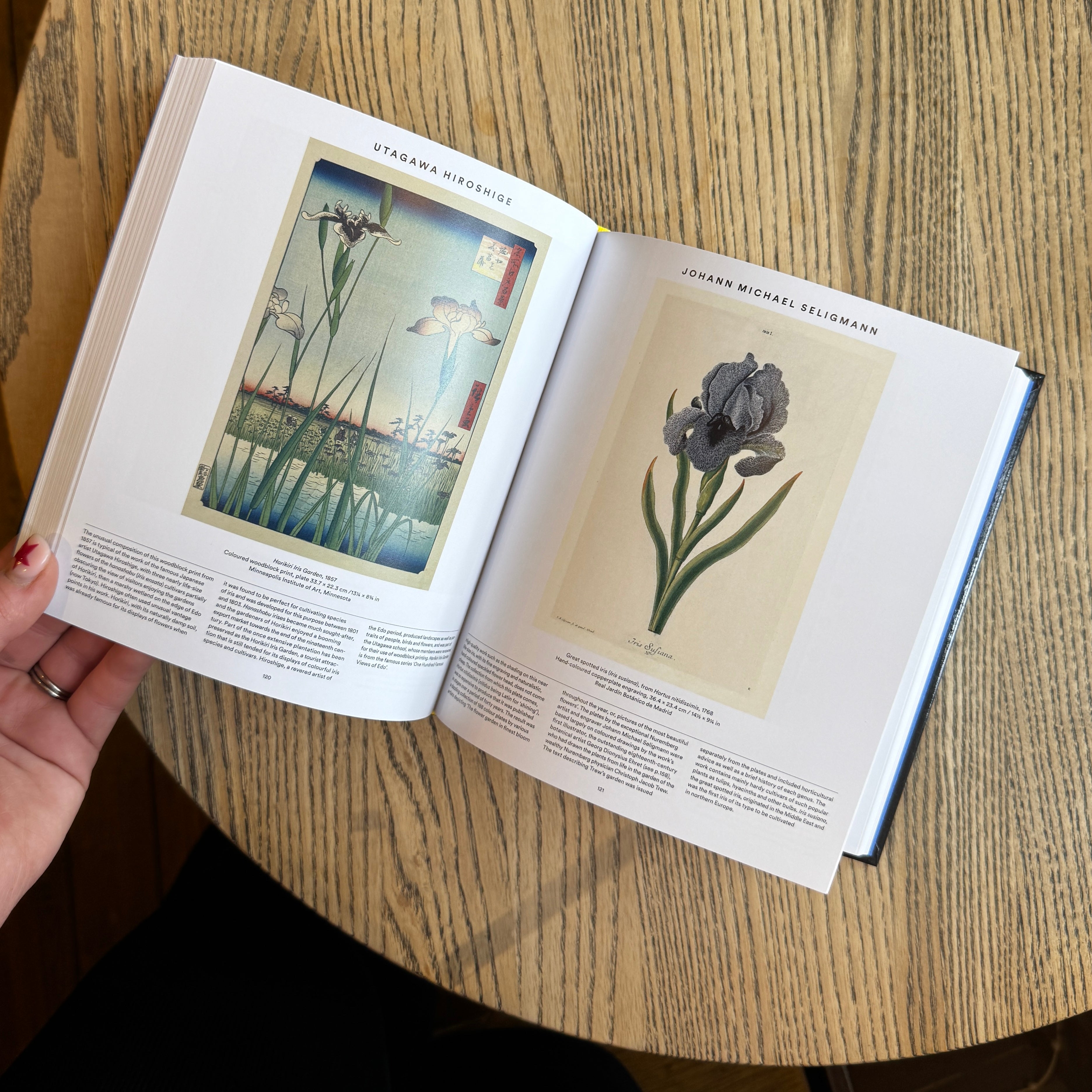 Plant: Exploring the Botanical World (Compact Edition)