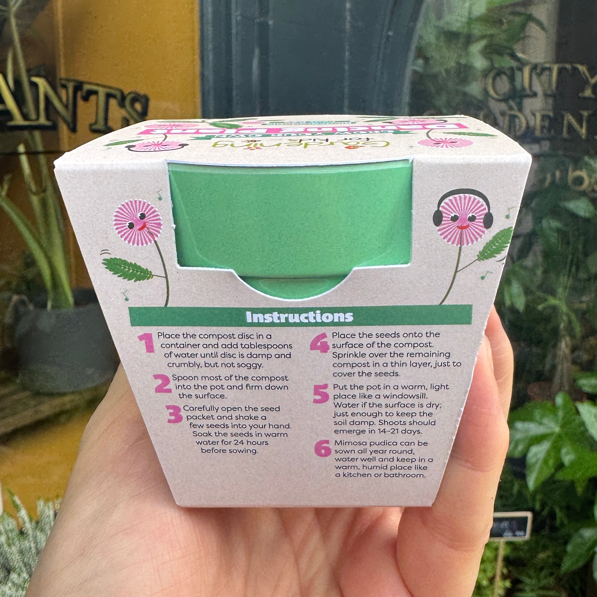 Dancing Plant Growing Kit | Mimosa pudica