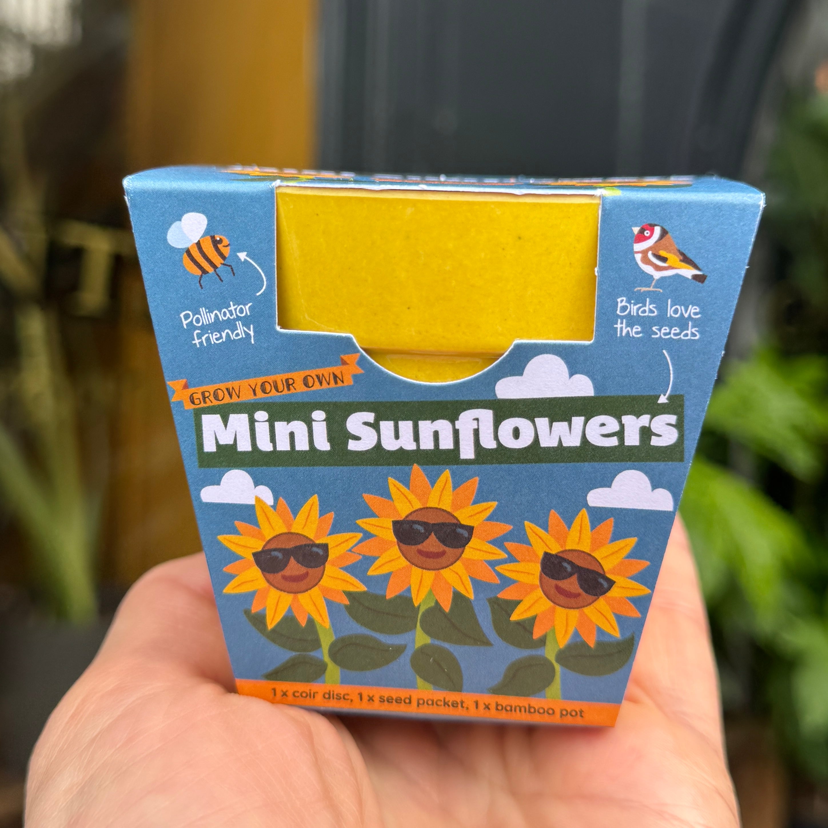 Mini Sunflowers Growing Kit