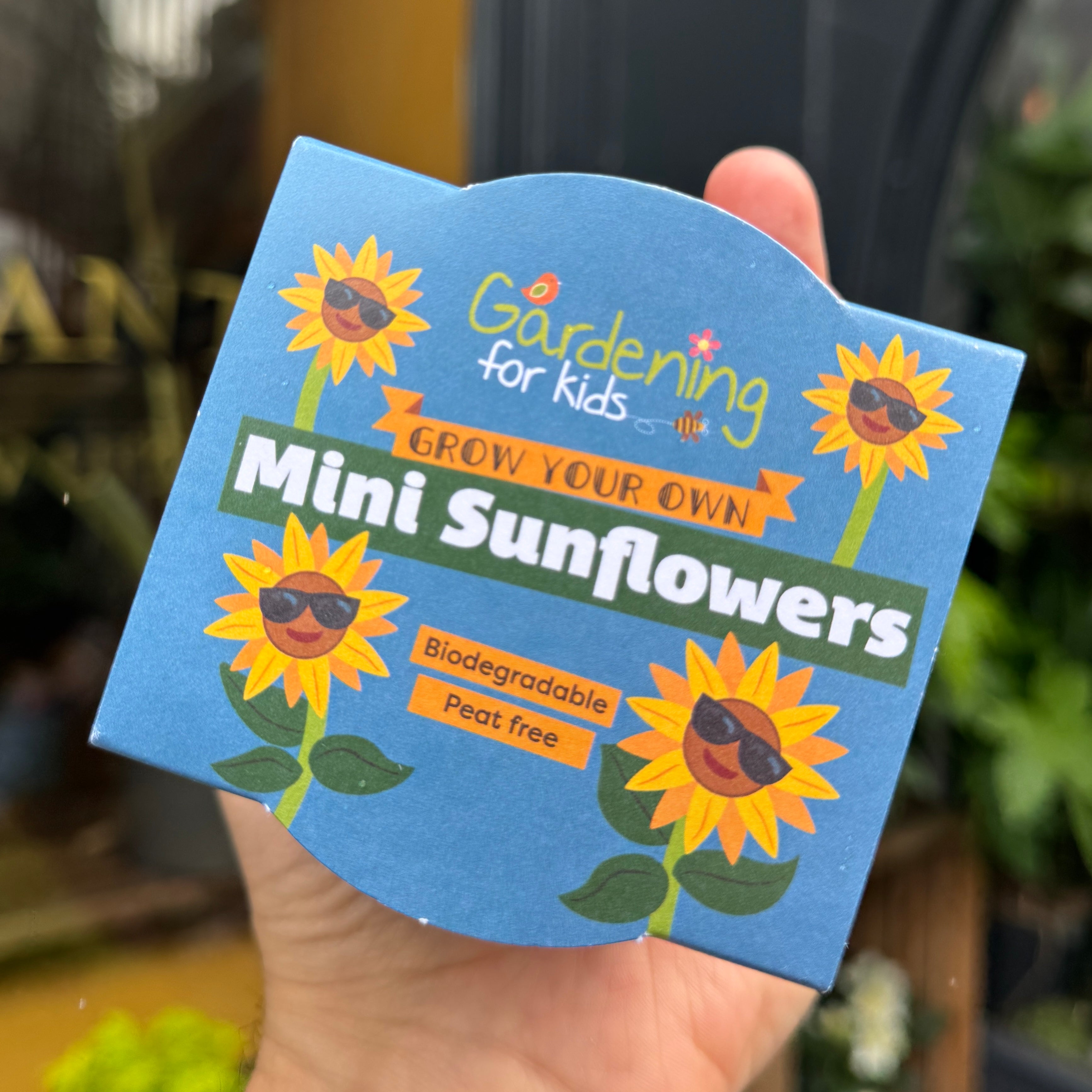 Mini Sunflowers Growing Kit