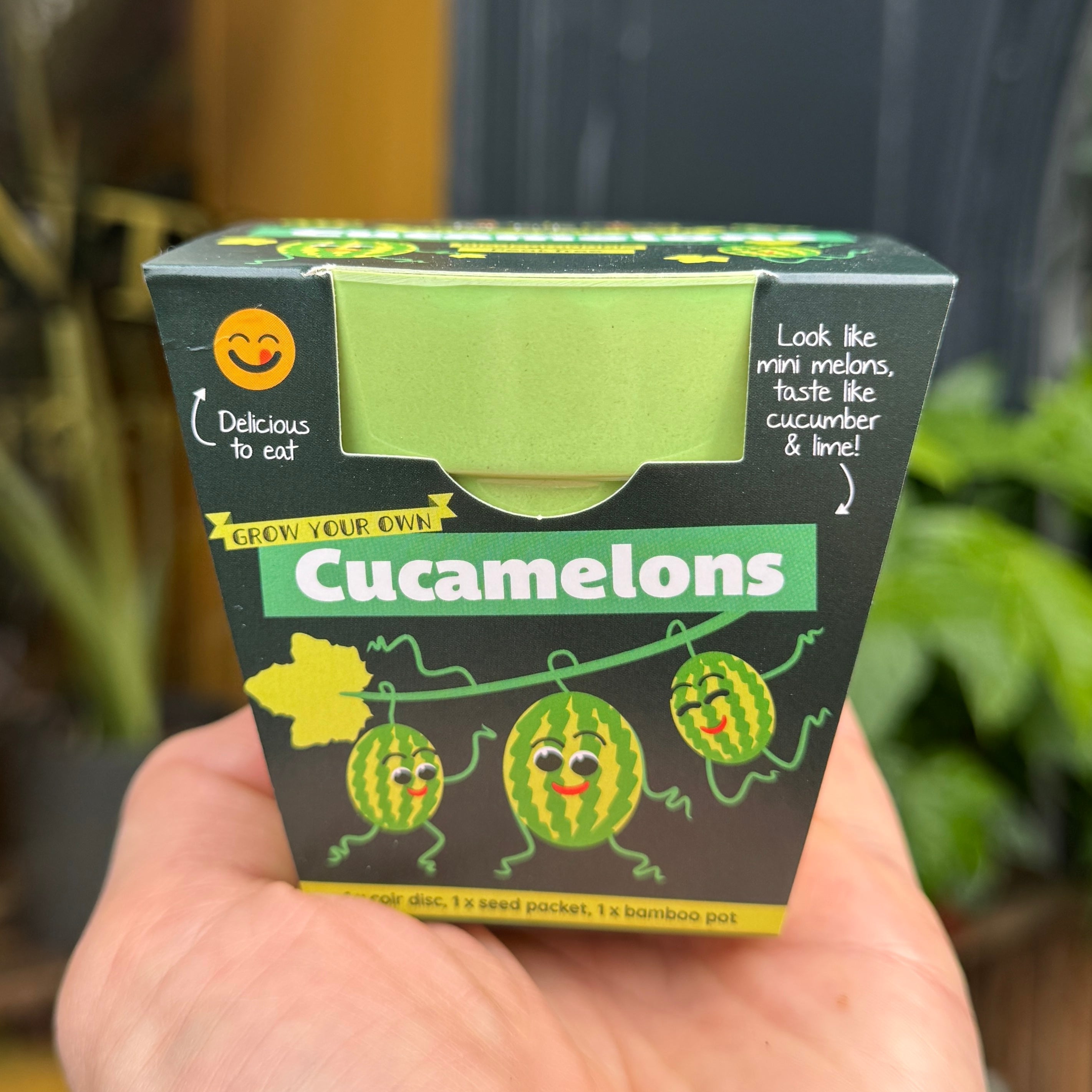 Box of Cucamelons with cartoon illustrations held in a hand against a blurred background