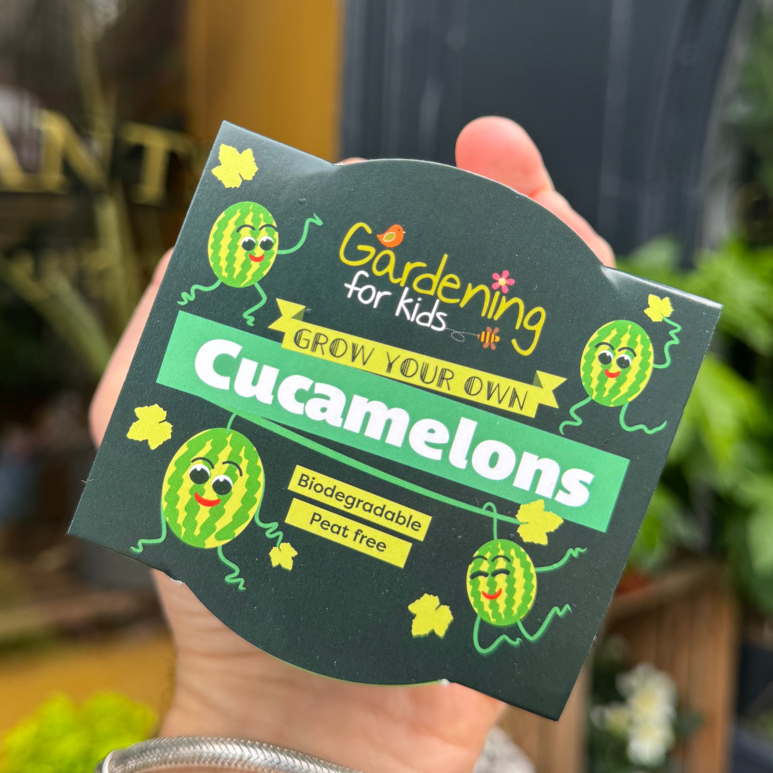 Cucamelons Growing Kit