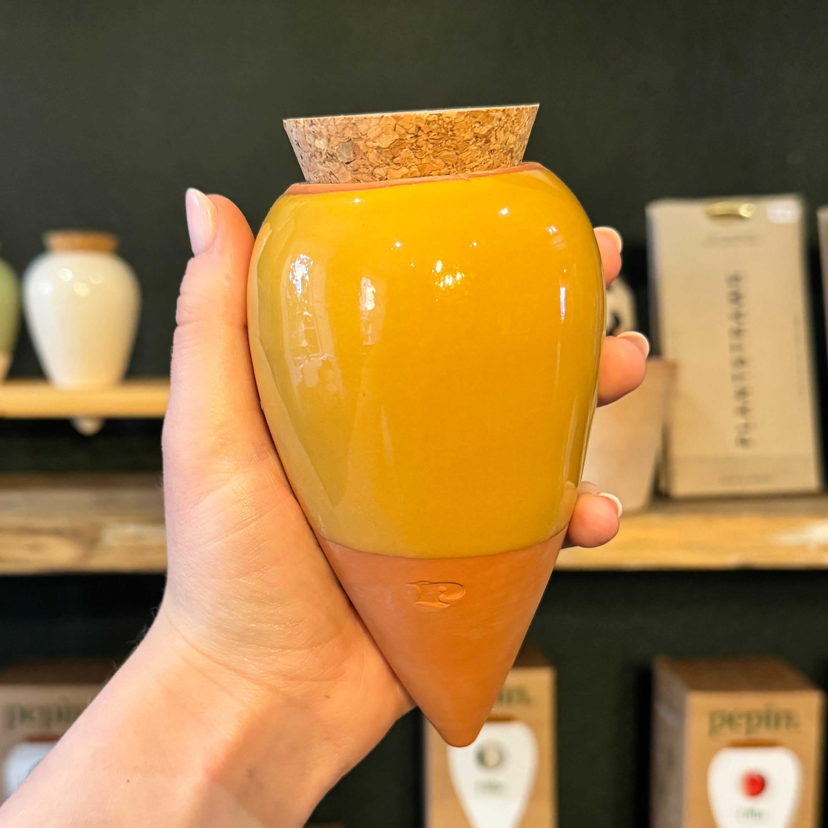 Pepin Ollas | Natural Plant Watering System