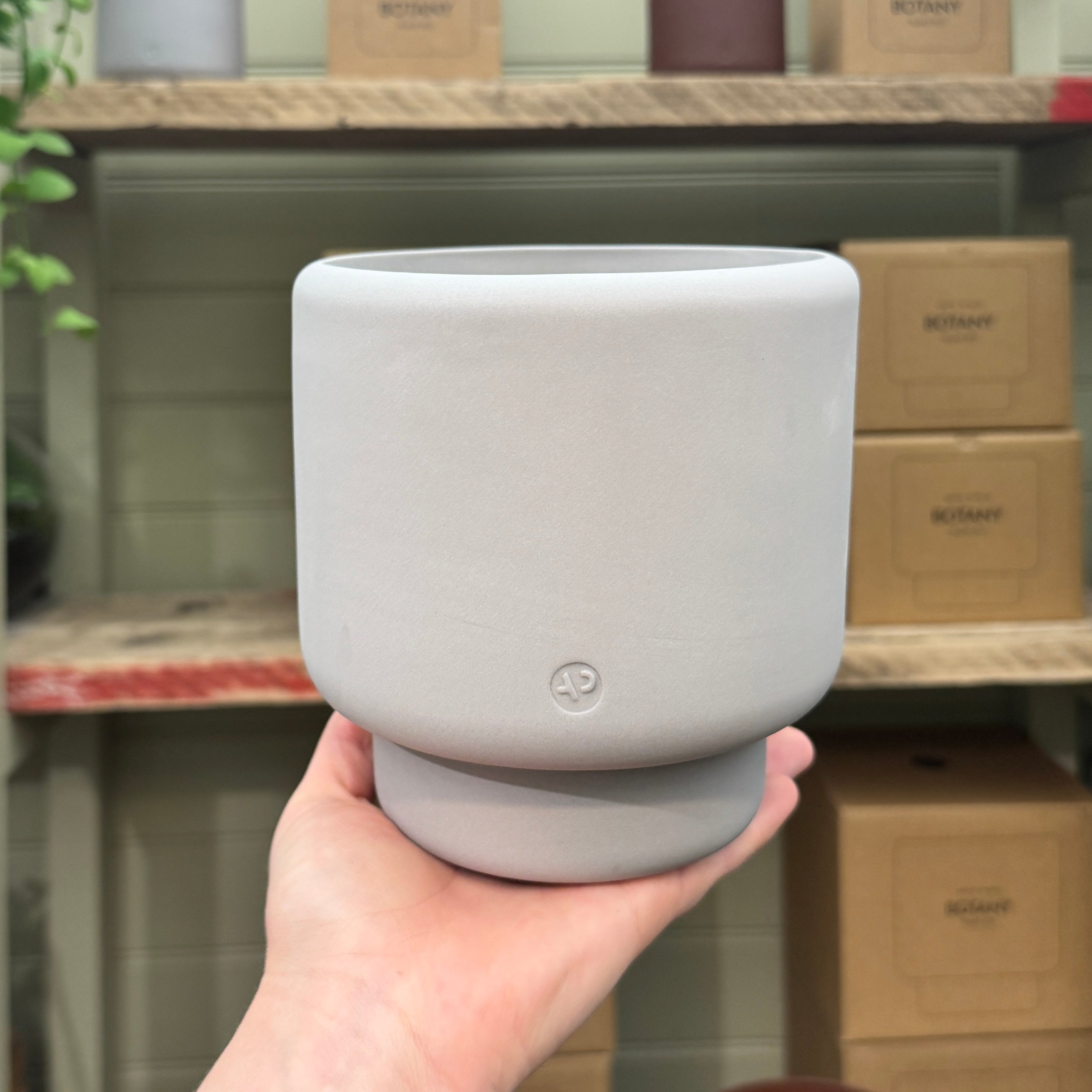 Aaron Probyn Botany Pot - Concrete Grey