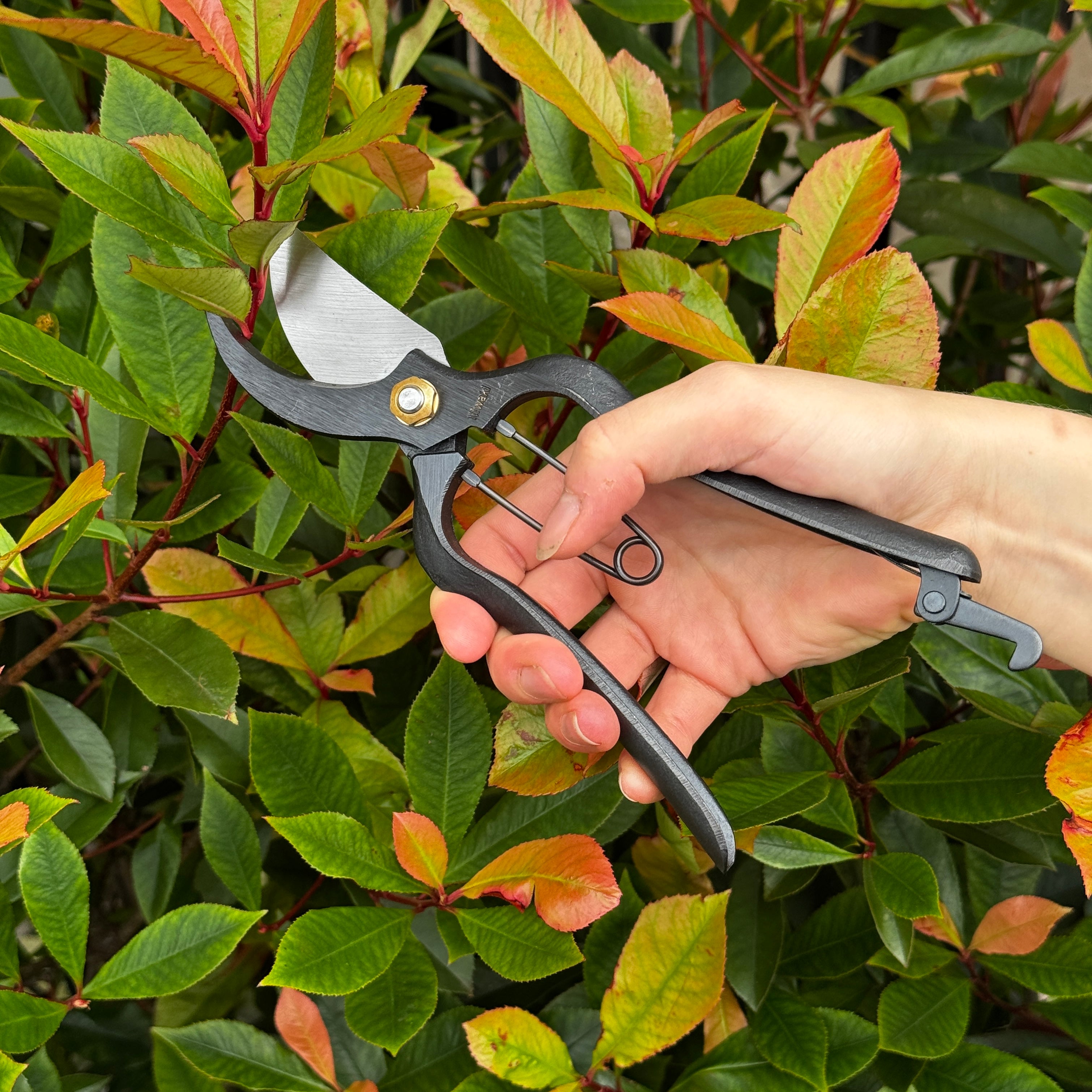 Niwaki Sentei Secateurs