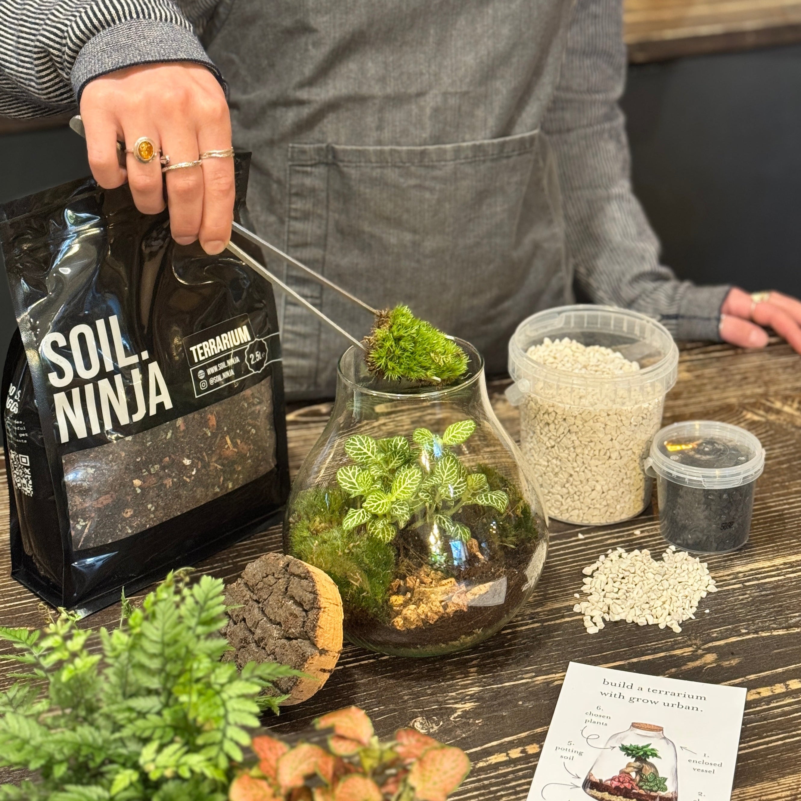 Terrarium Building Workshop Edinburgh | 22 October 2025