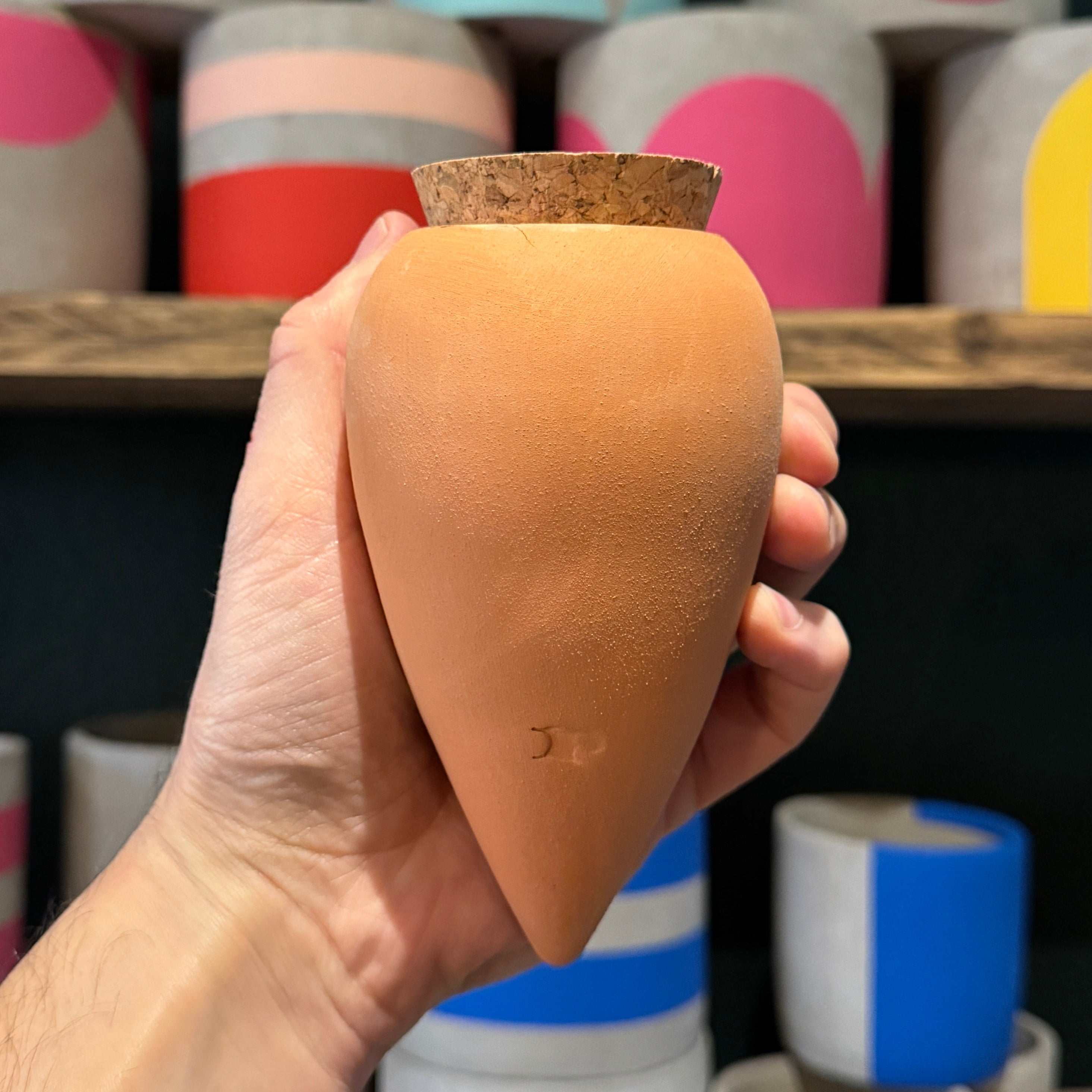 Pepin Ollas | Natural Plant Watering System