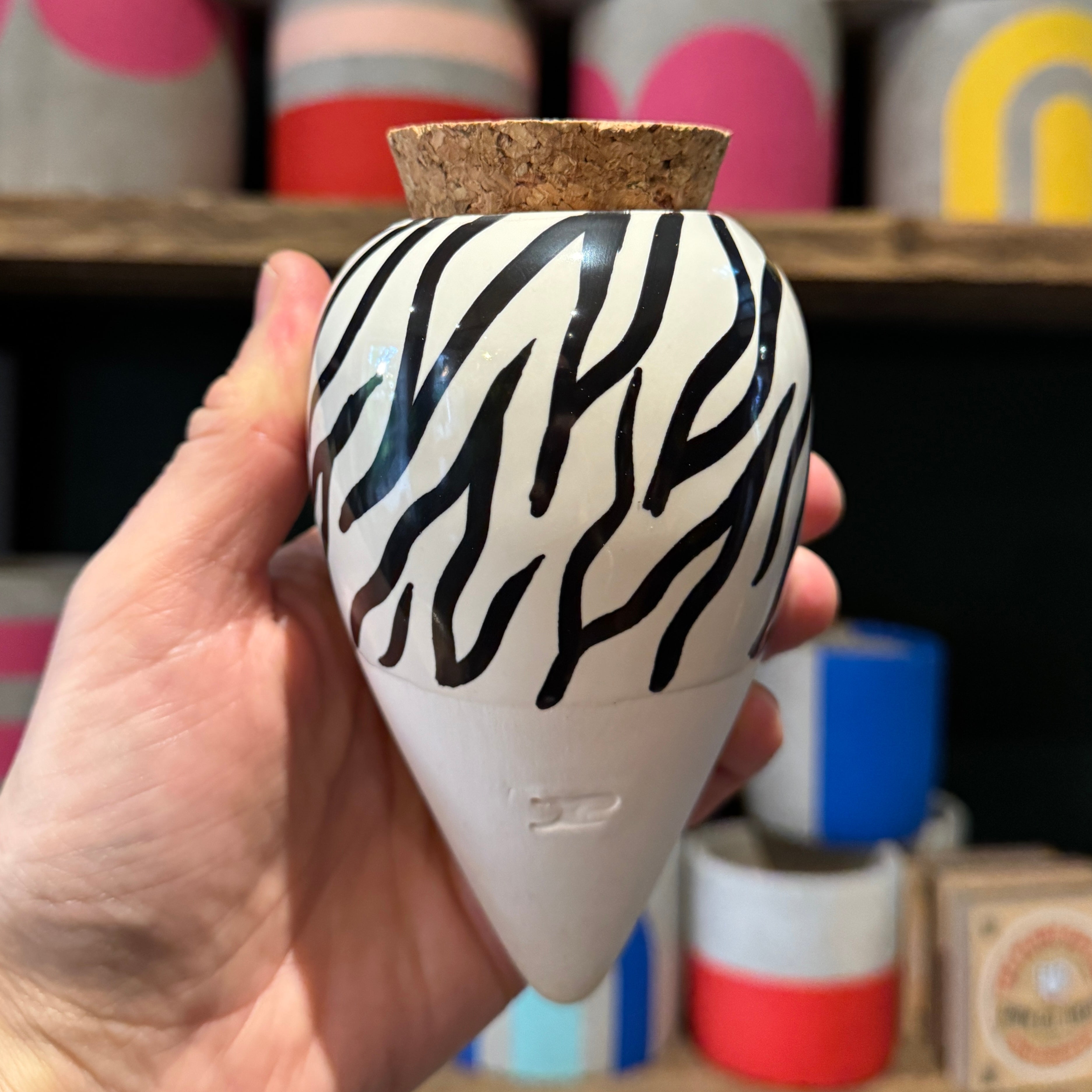 Pepin Ollas | Natural Plant Watering System