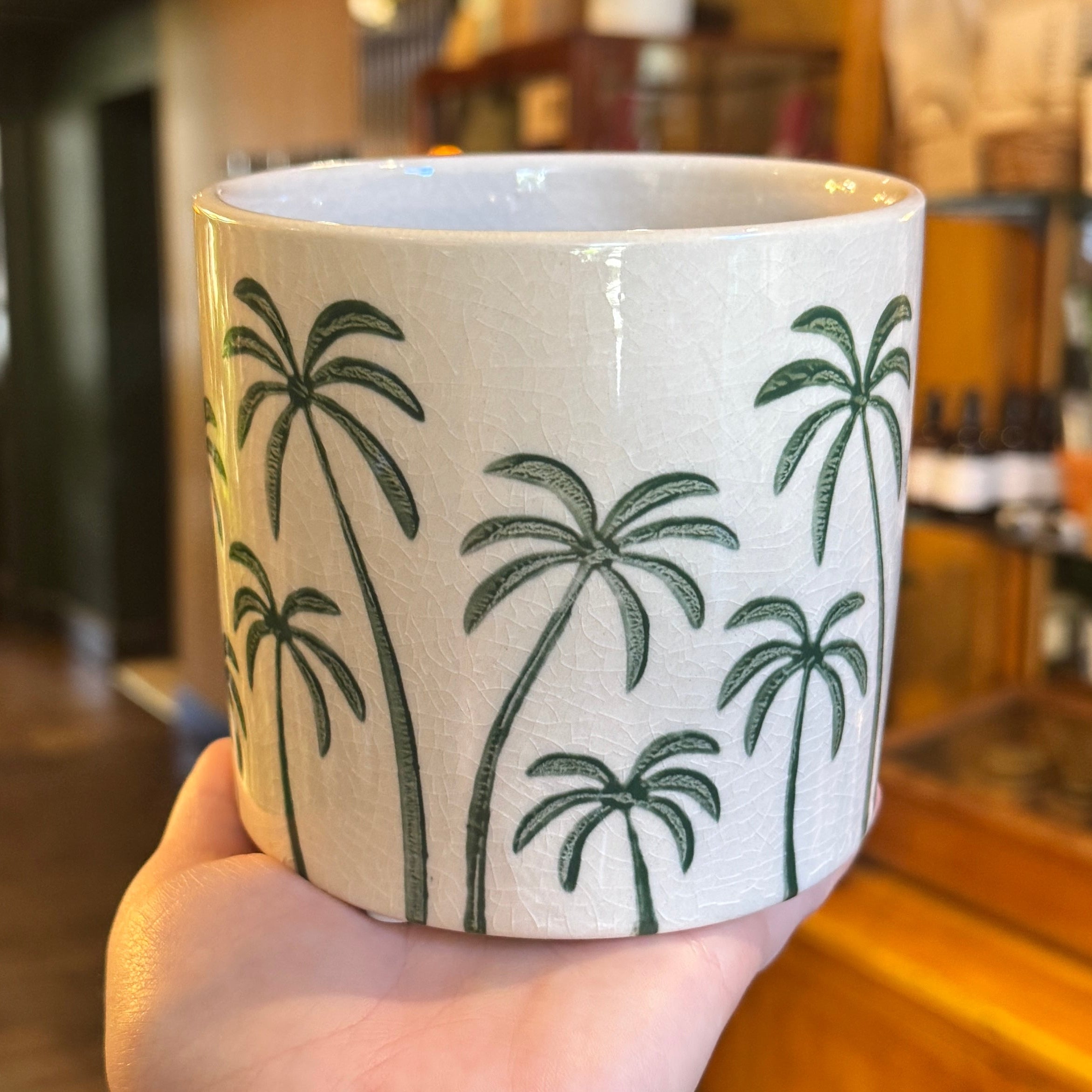 Green Palm Trees Plant Pot | 12cm