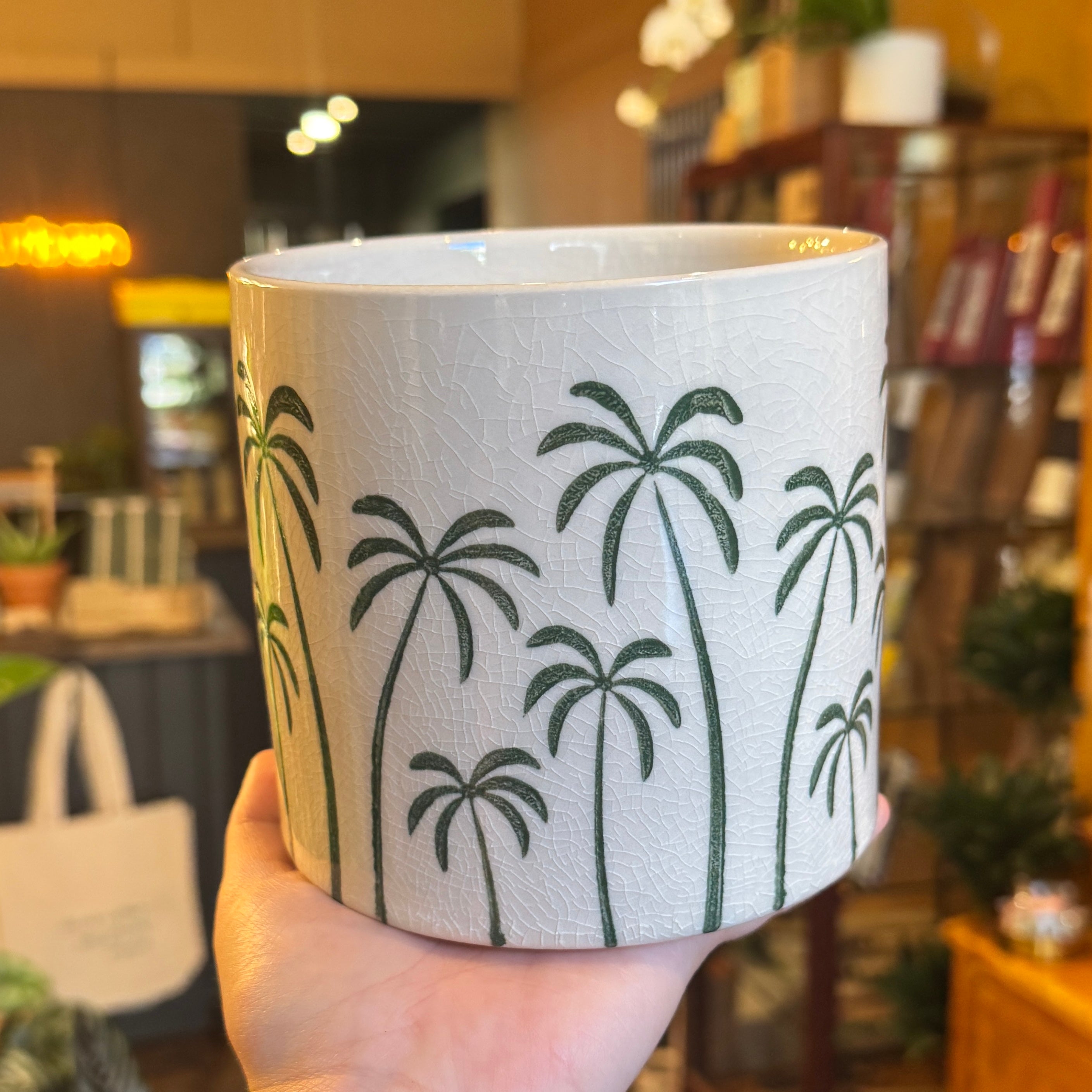 Green Palm Trees Plant Pot | 14cm