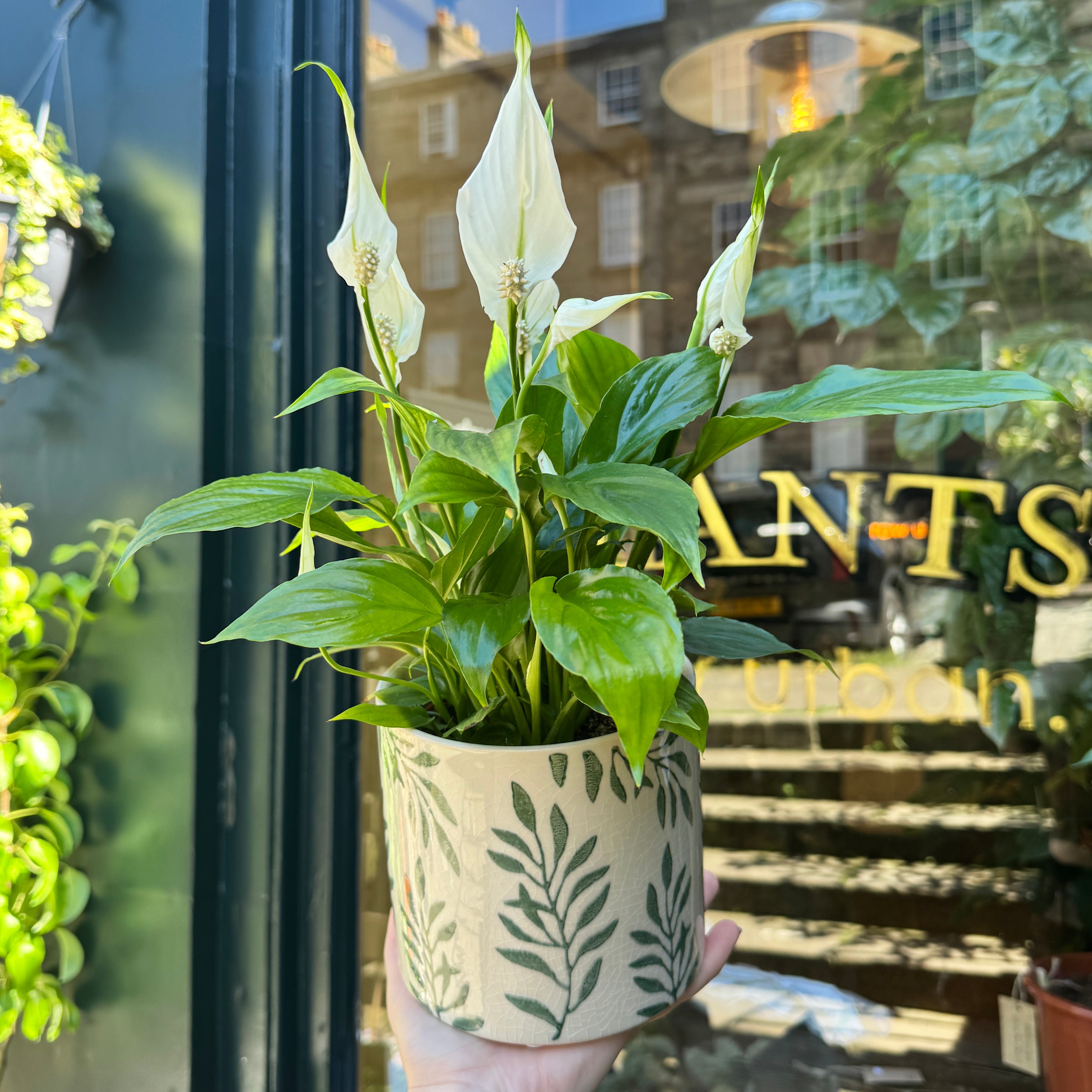 Green Leaves Plant Pot | 14cm