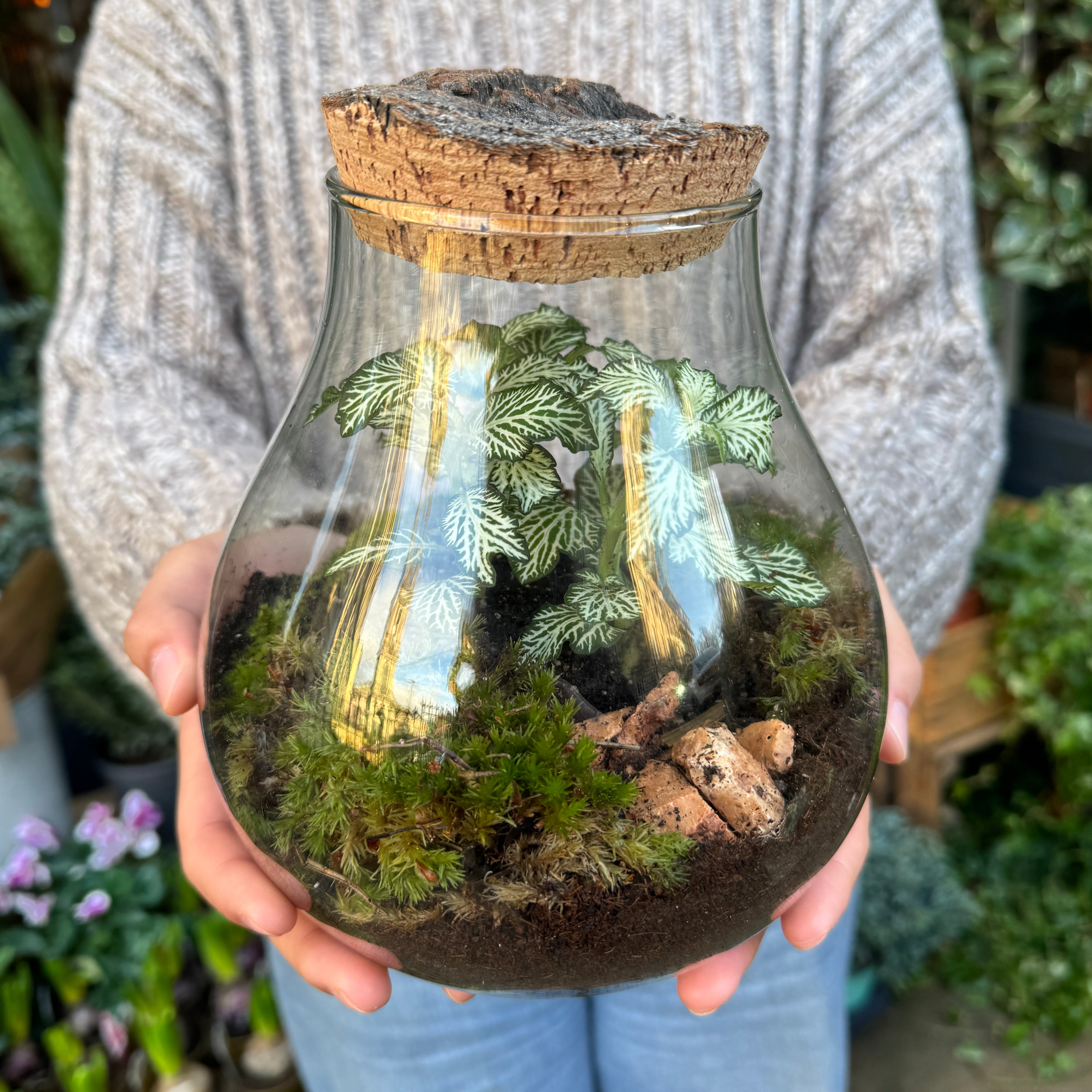 Bulb Terrarium - Aged Cork