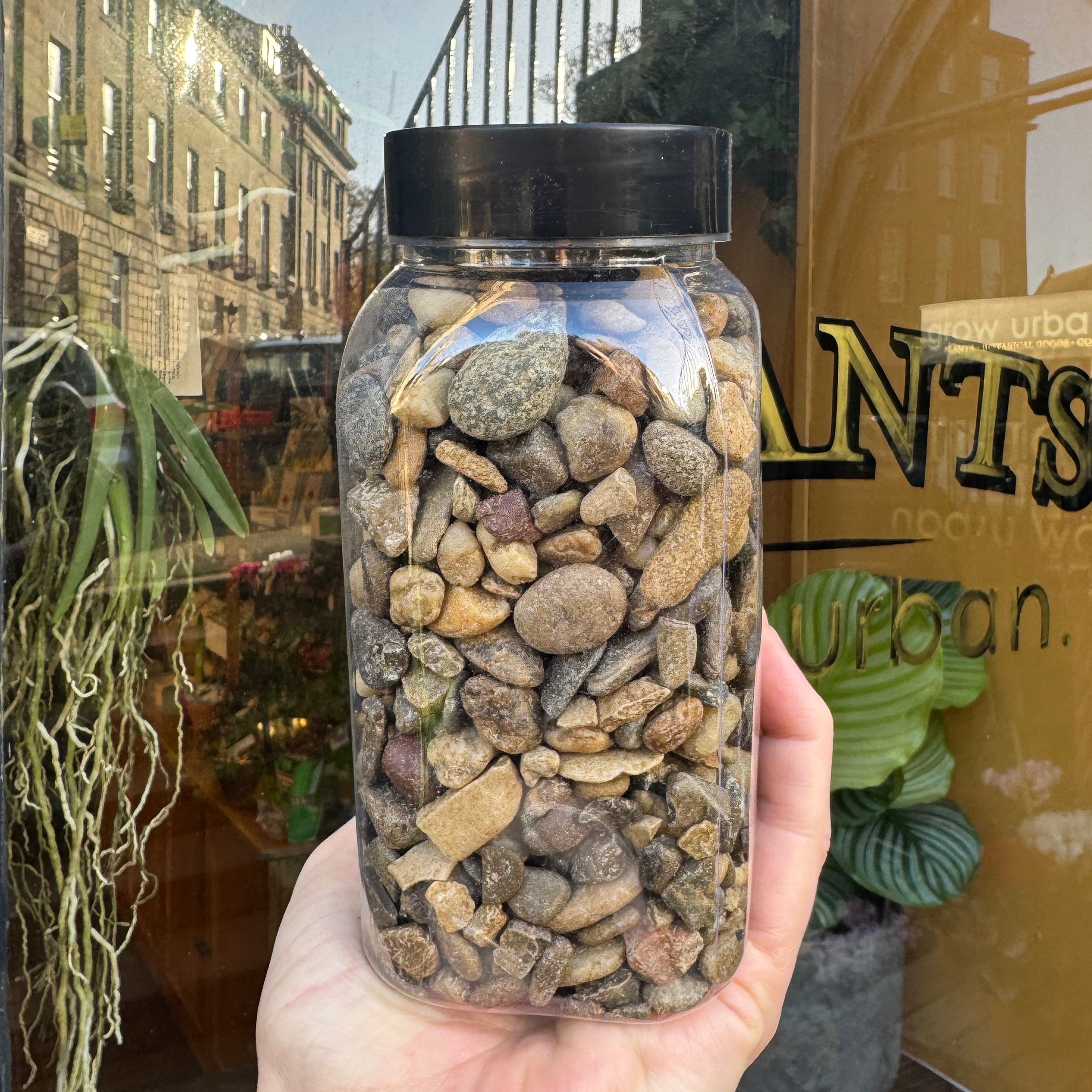 Decorative Pebbles – Natural Stone Mix