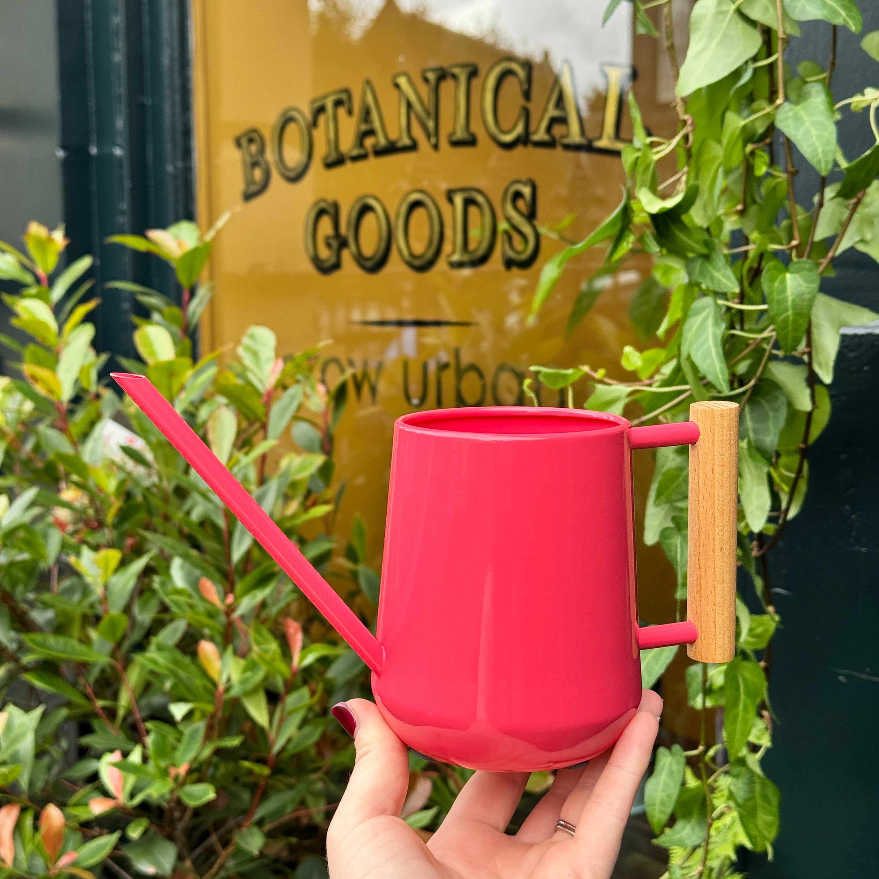 Indoor Watering Can - Coral