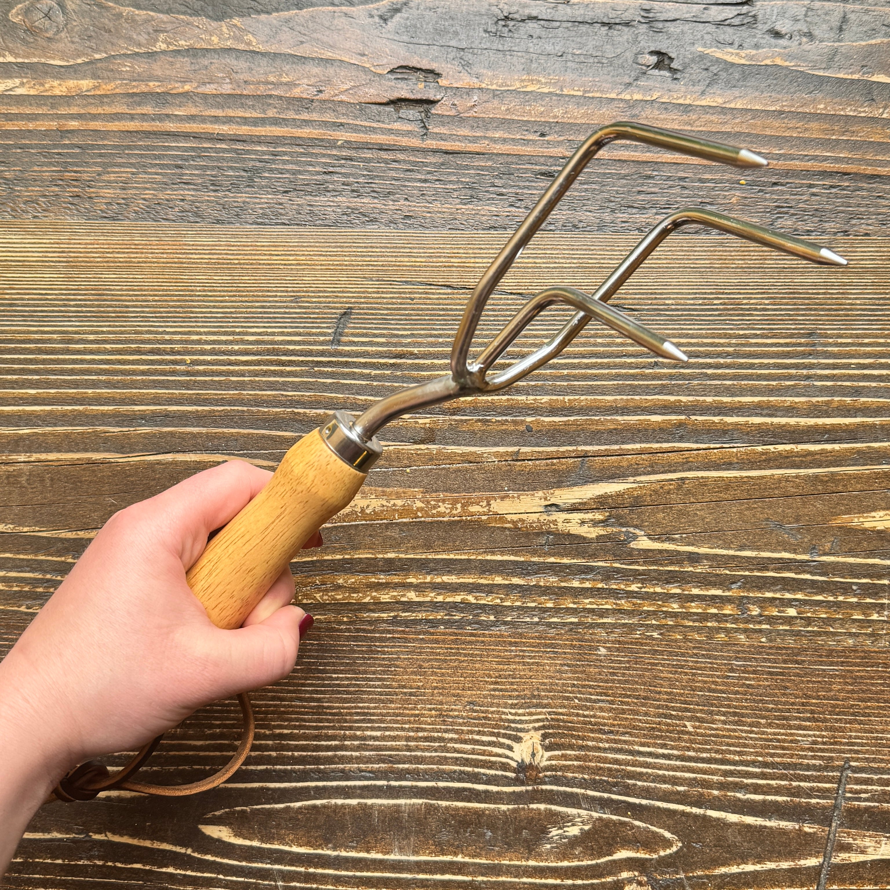 Claw Cultivator | RHS Endorsed