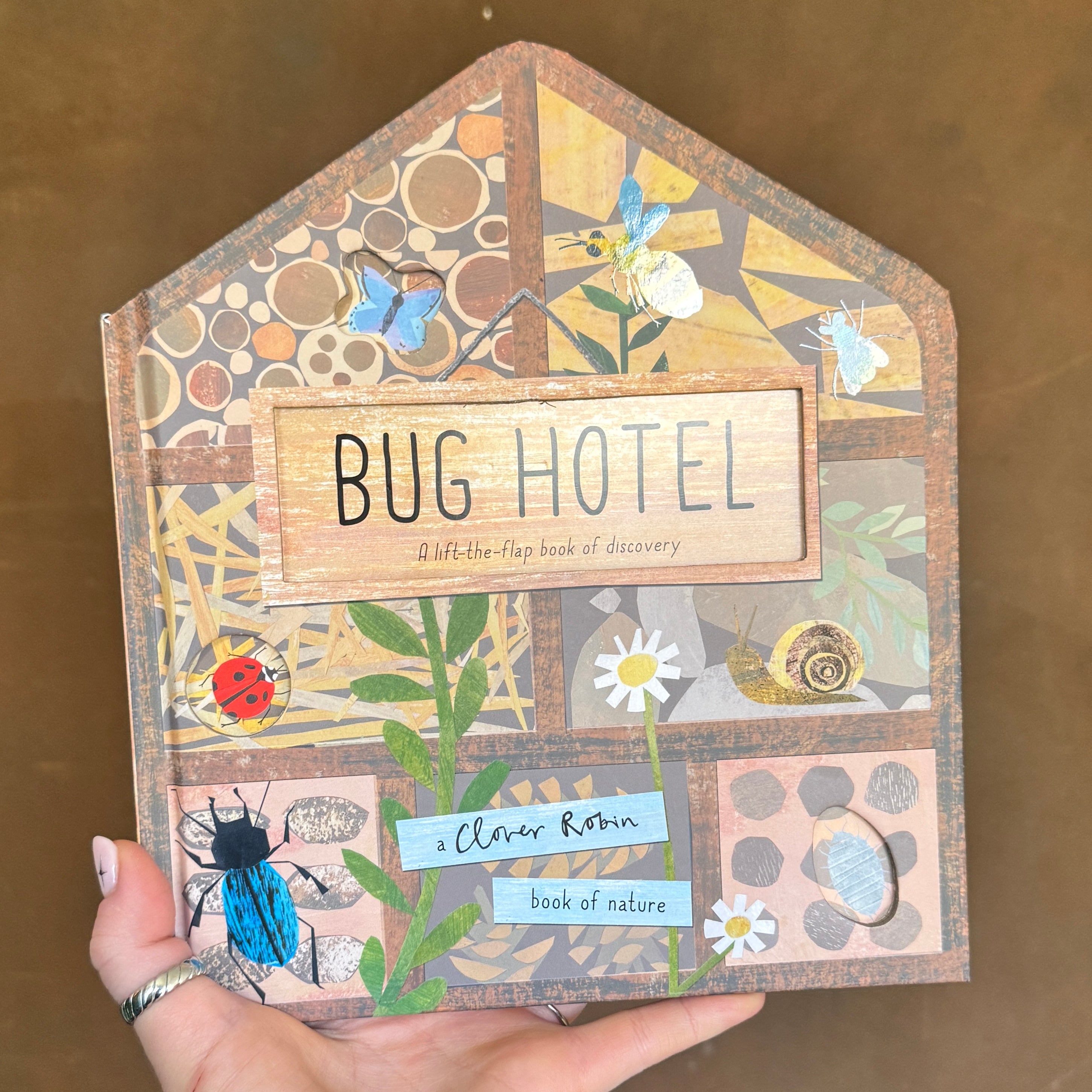 Bug Hotel (Lift the Flap Book)