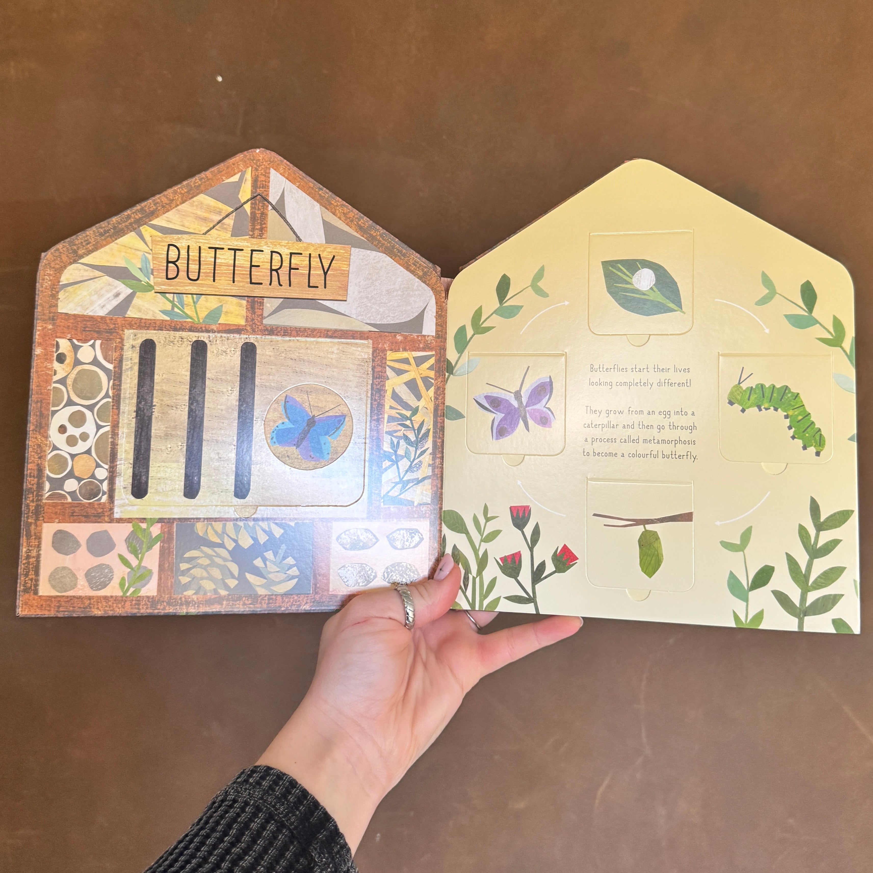 Bug Hotel (Lift the Flap Book)