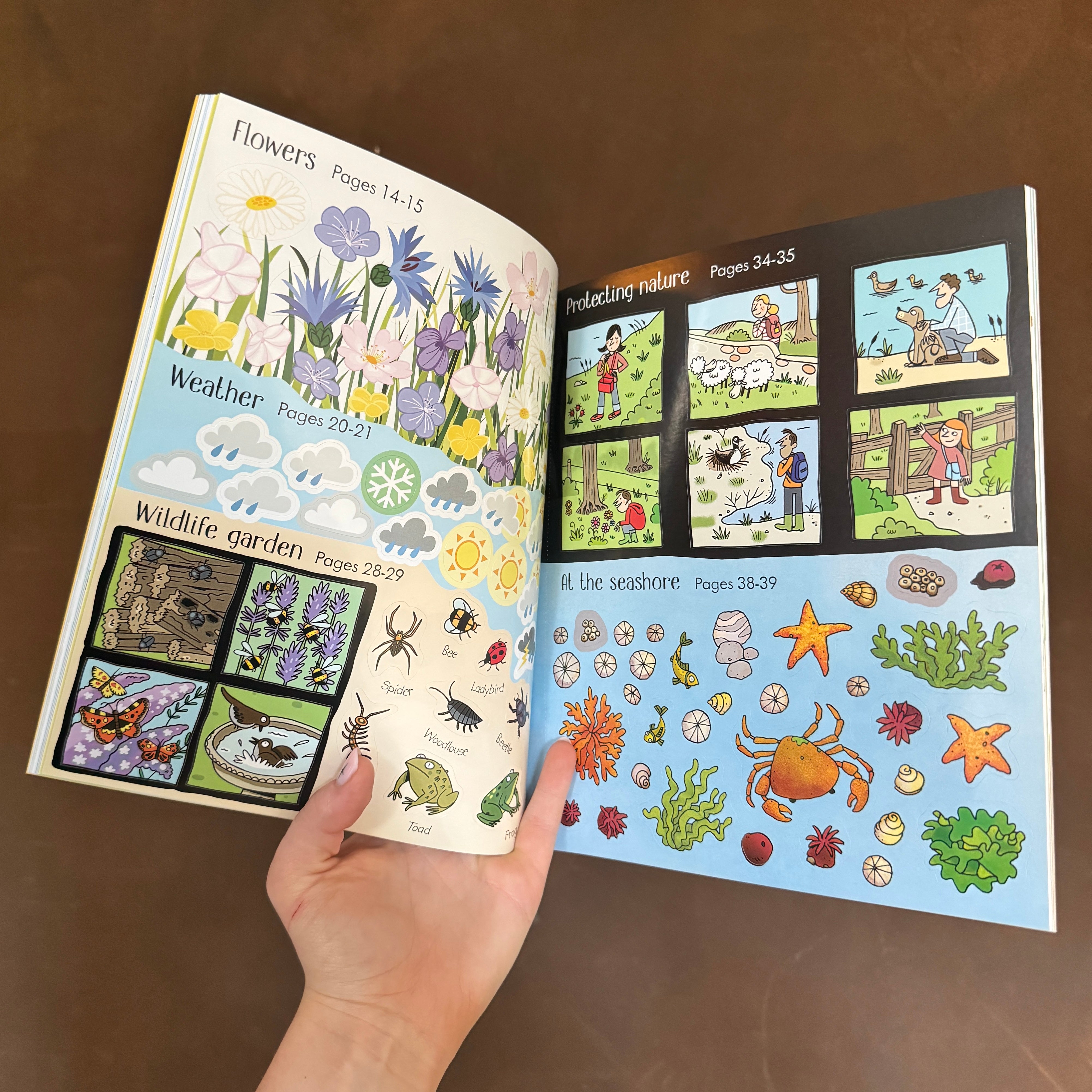 Little Children's Nature Activity Book